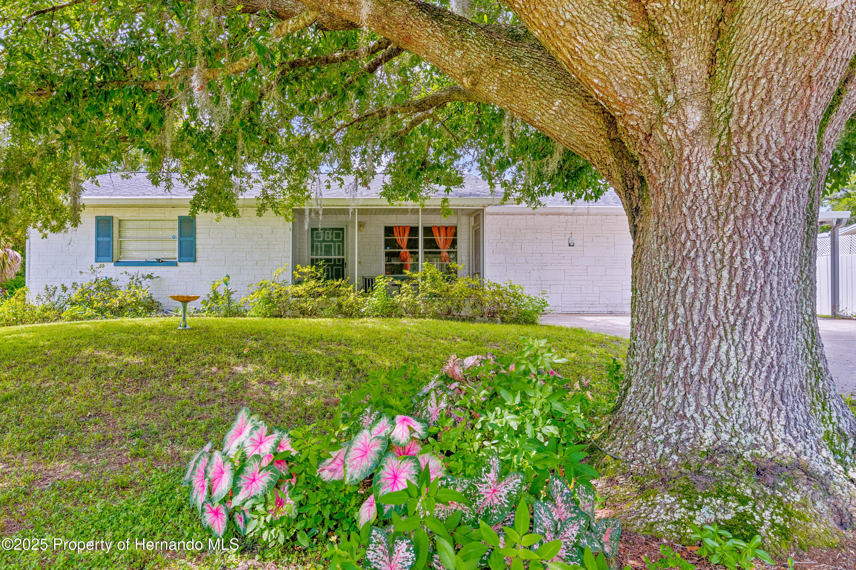 1236 NE 3rd Street, Crystal River, Florida image 2