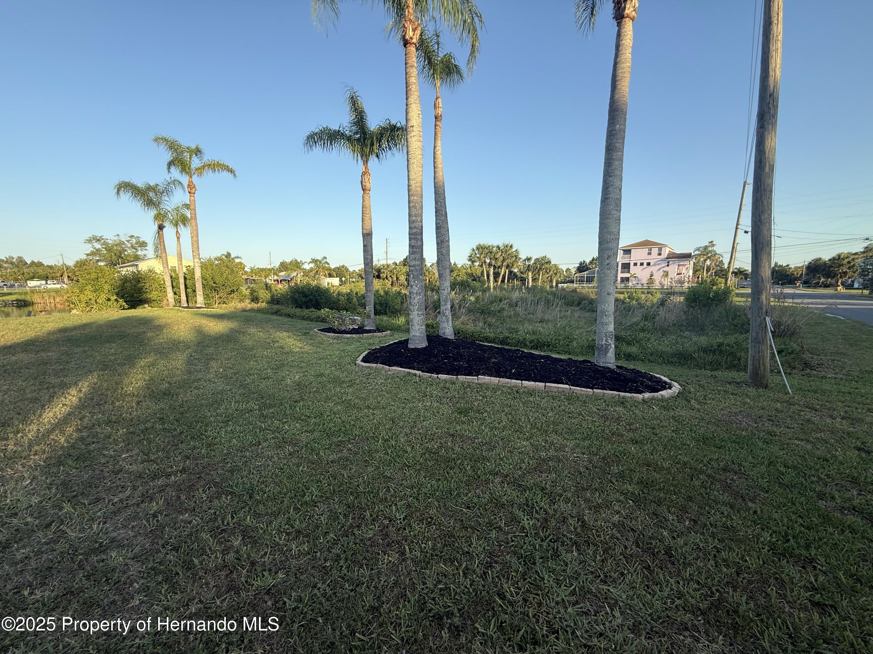 Fernleaf Drive, HERNANDO BEACH, Florida image 1