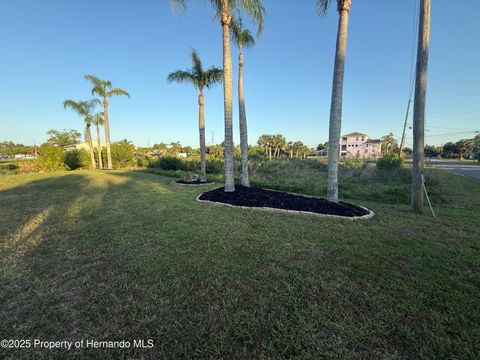 Vacant Land For Sale - Fernleaf Drive<br/> HERNANDO BEACH, FL 34607