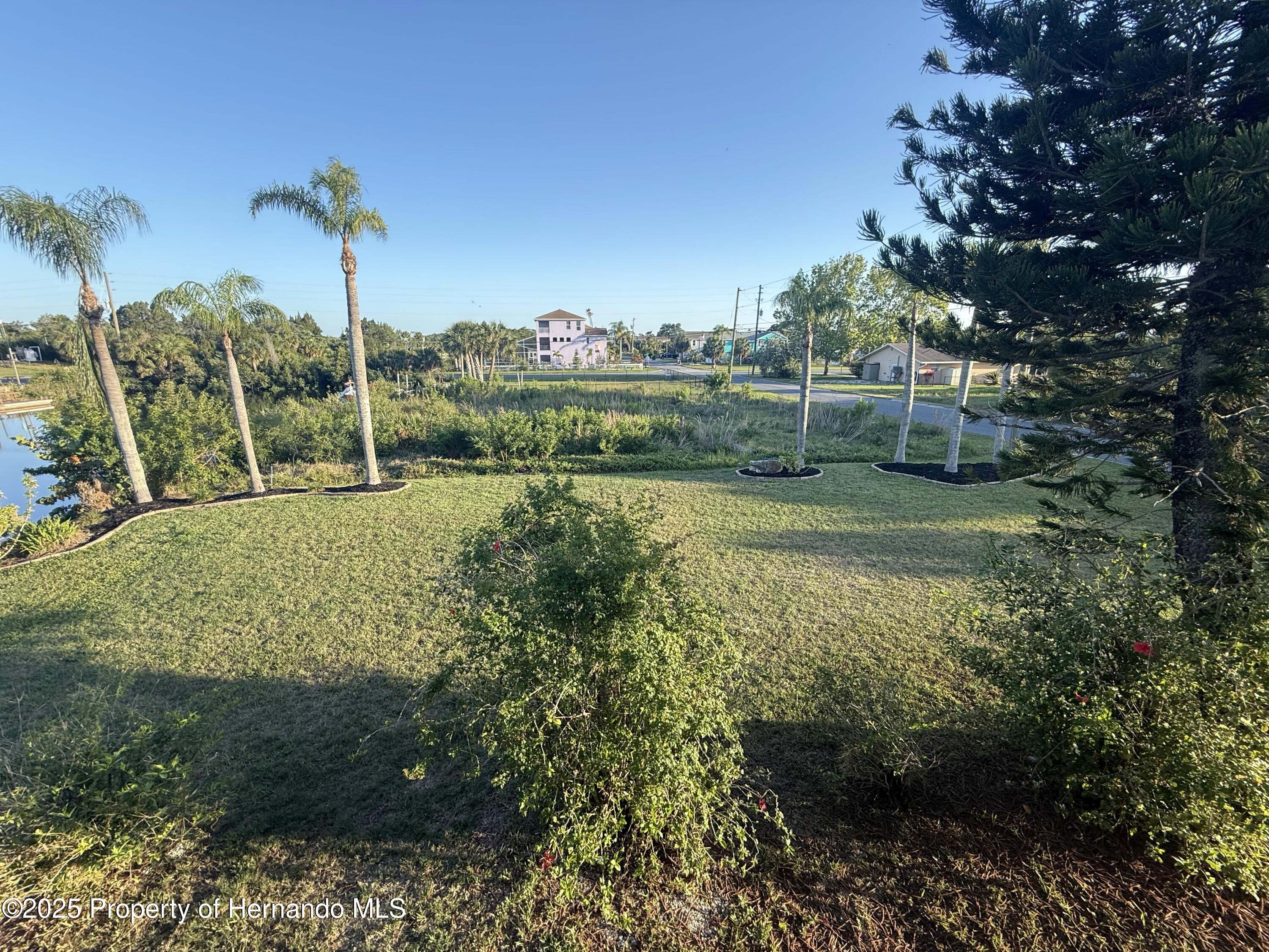 Fernleaf Drive, HERNANDO BEACH, Florida image 4