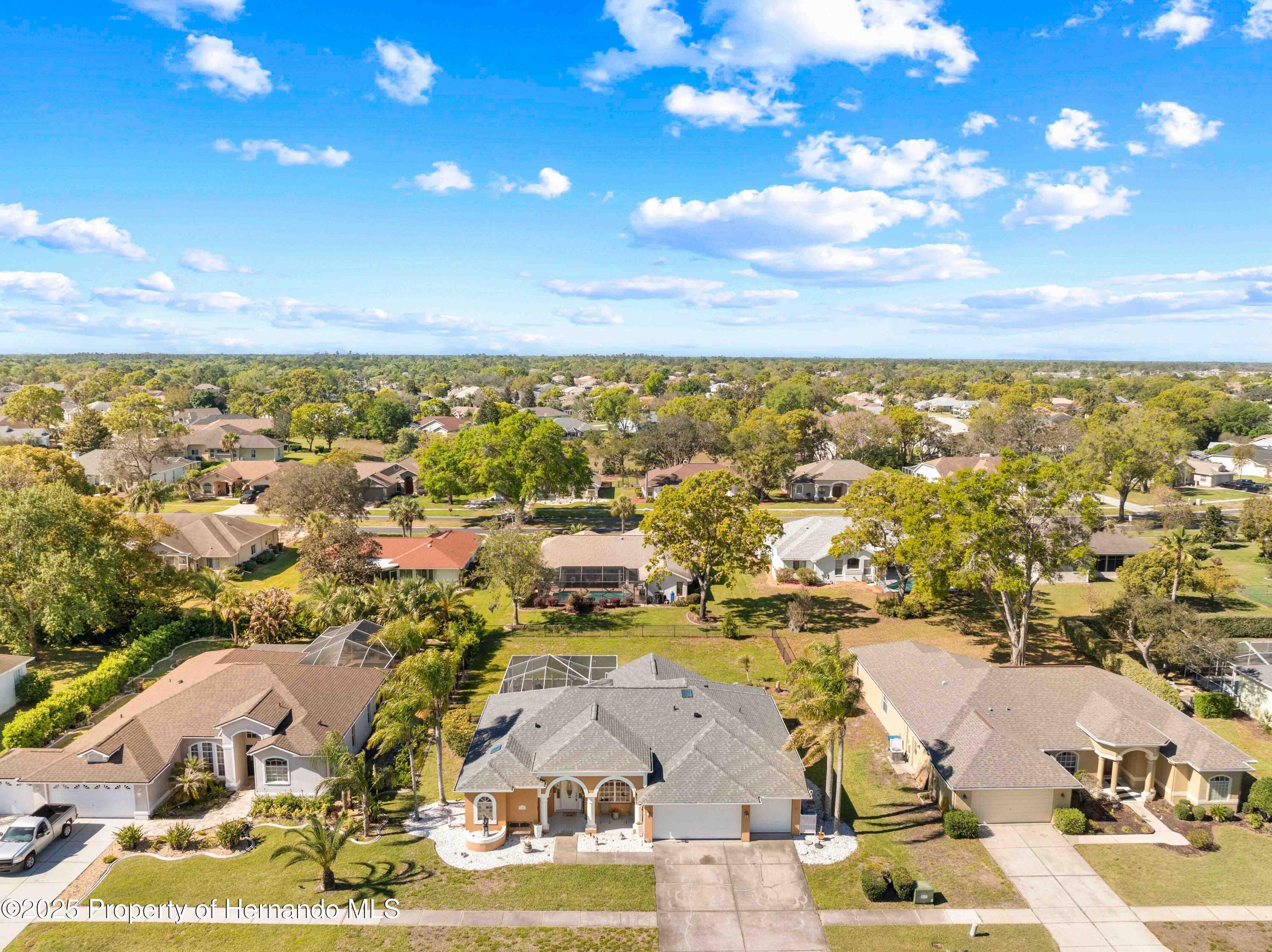 14202 Pullman Drive, Spring Hill, Florida image 9