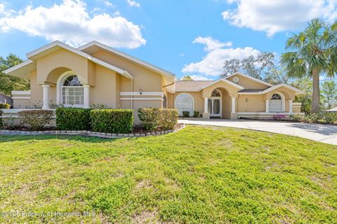 Homes For Sale - 1446 Cornell Avenue<br/> Spring Hill, FL 34609