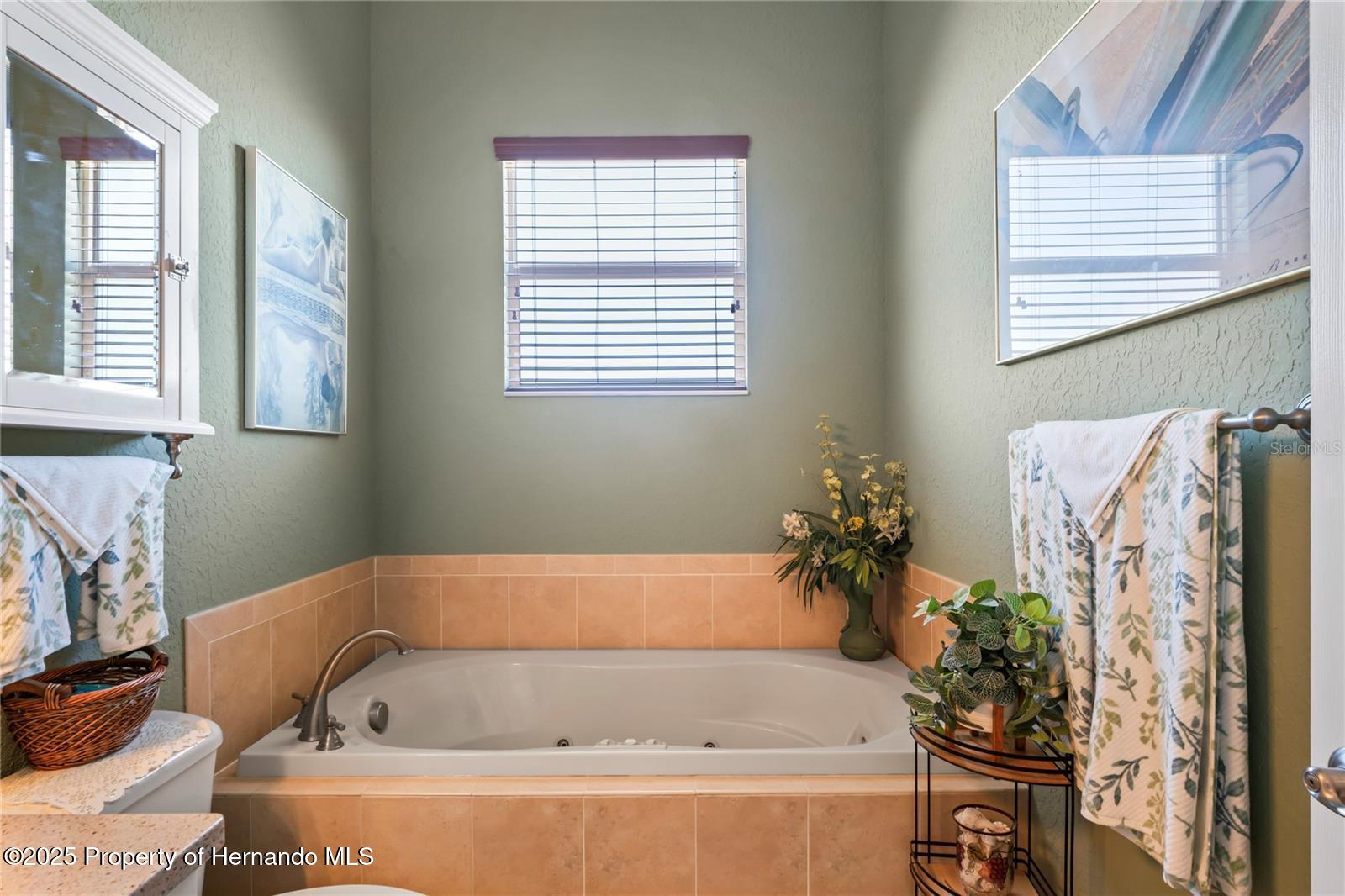 5100 Cedarbrook Lane, HERNANDO BEACH, Florida image 36