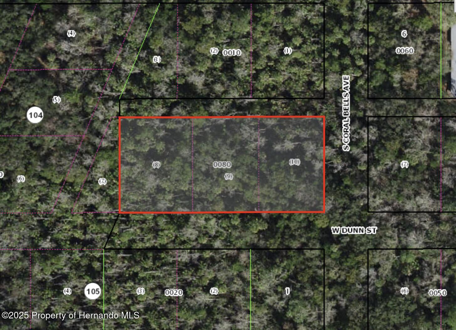 10427 W Dunn Street, Homosassa, Florida image 1
