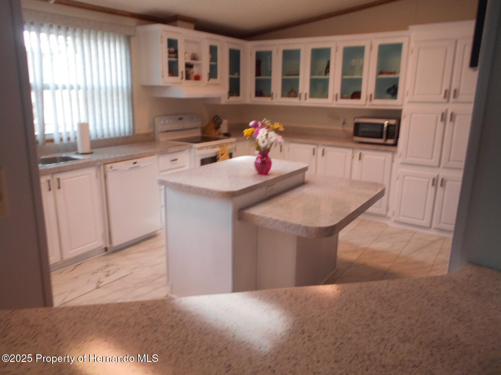14227 Adair Street, Brooksville, Florida image 18