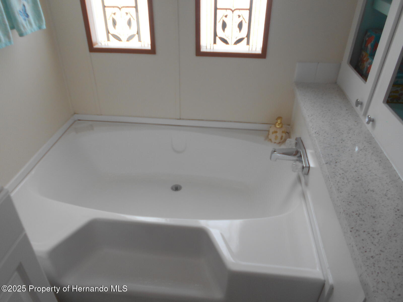 14227 Adair Street, Brooksville, Florida image 15