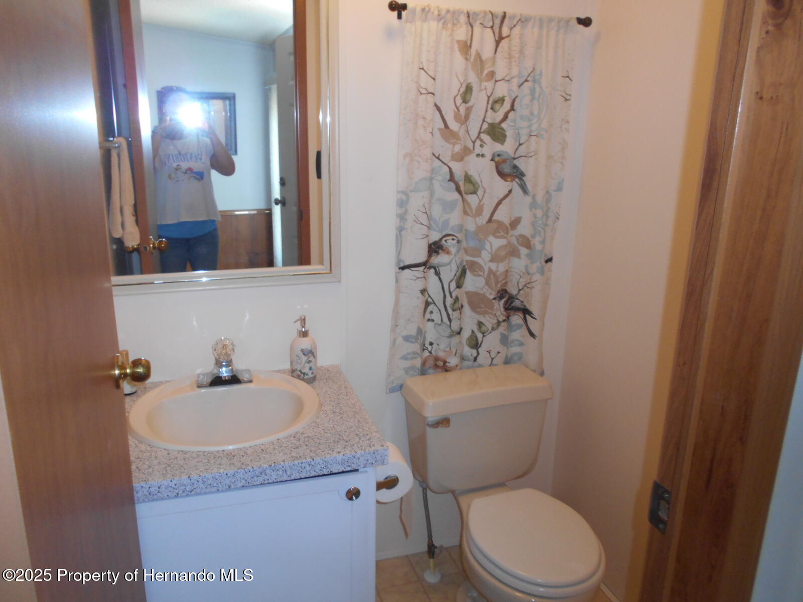 14227 Adair Street, Brooksville, Florida image 9