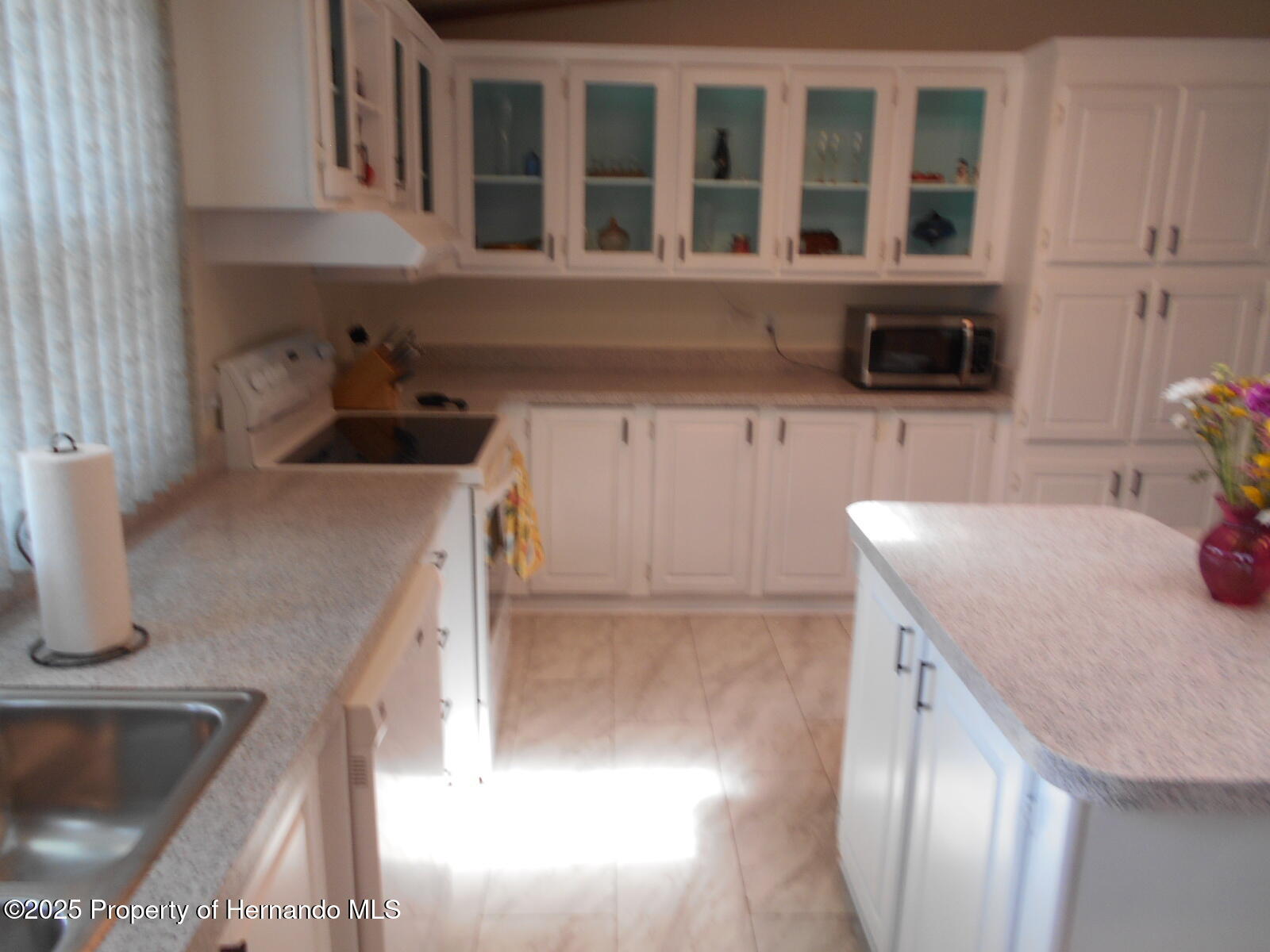 14227 Adair Street, Brooksville, Florida image 22