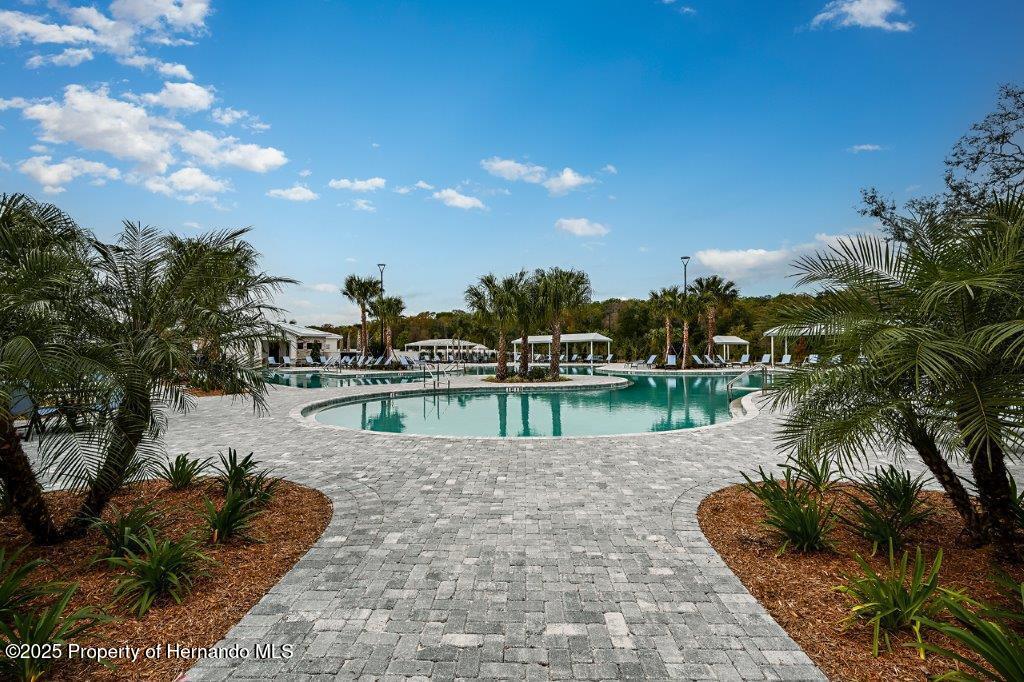9622 Minnow Ray Drive, LAND O LAKES, Florida image 47