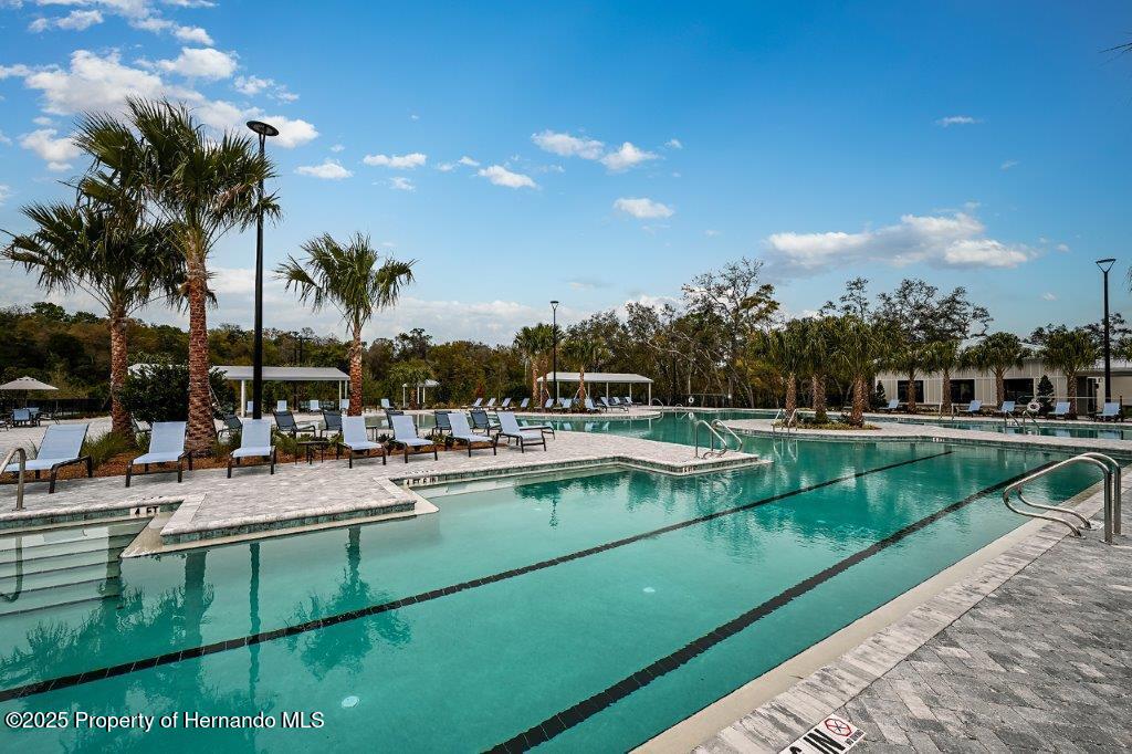 9622 Minnow Ray Drive, LAND O LAKES, Florida image 50