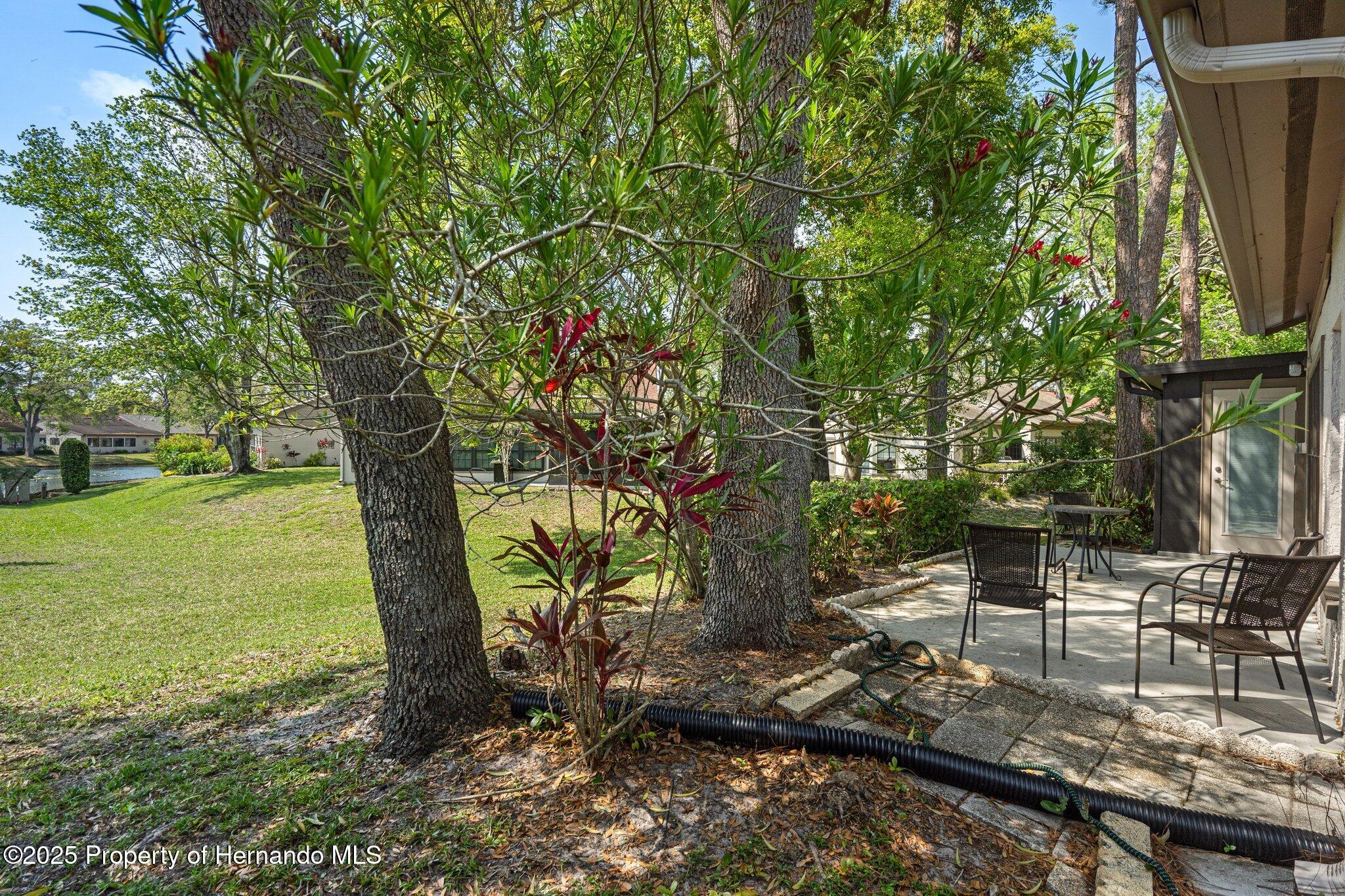 2217 Broadmoor Lane, Spring Hill, Florida image 40