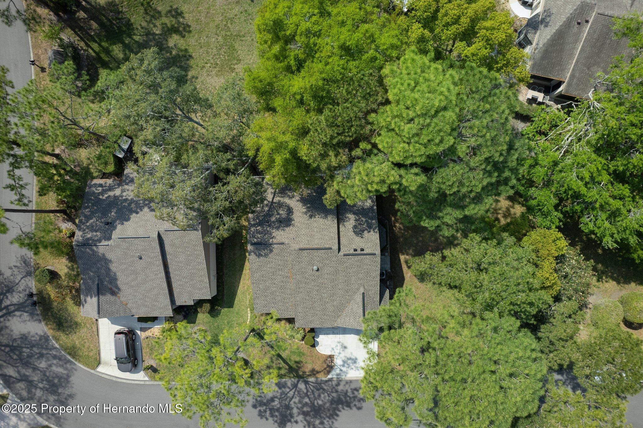 2217 Broadmoor Lane, Spring Hill, Florida image 5