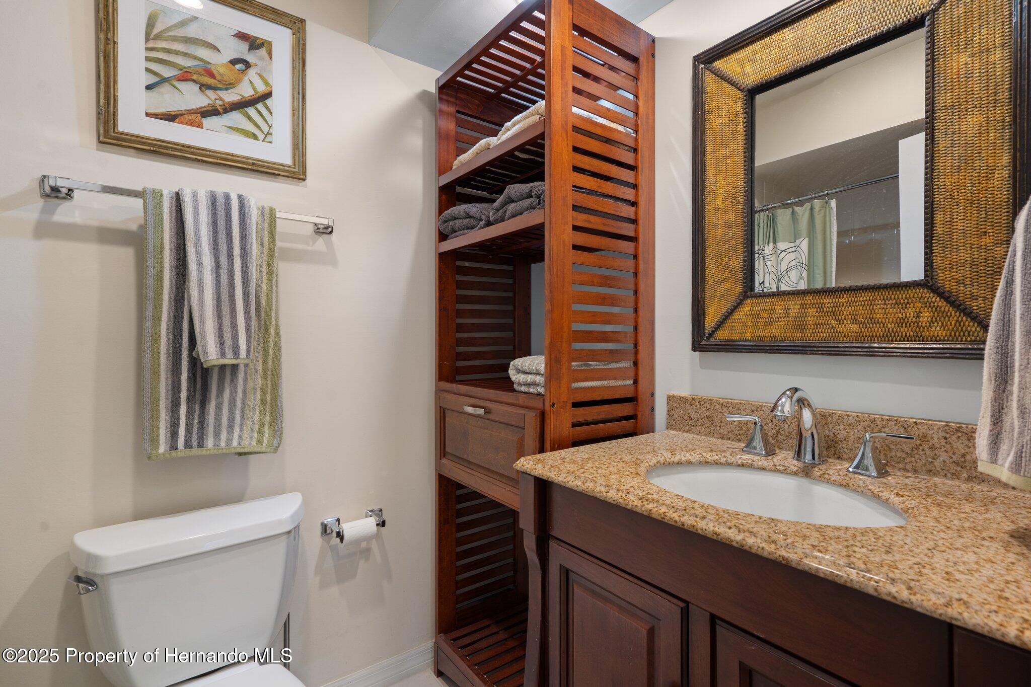 2217 Broadmoor Lane, Spring Hill, Florida image 36