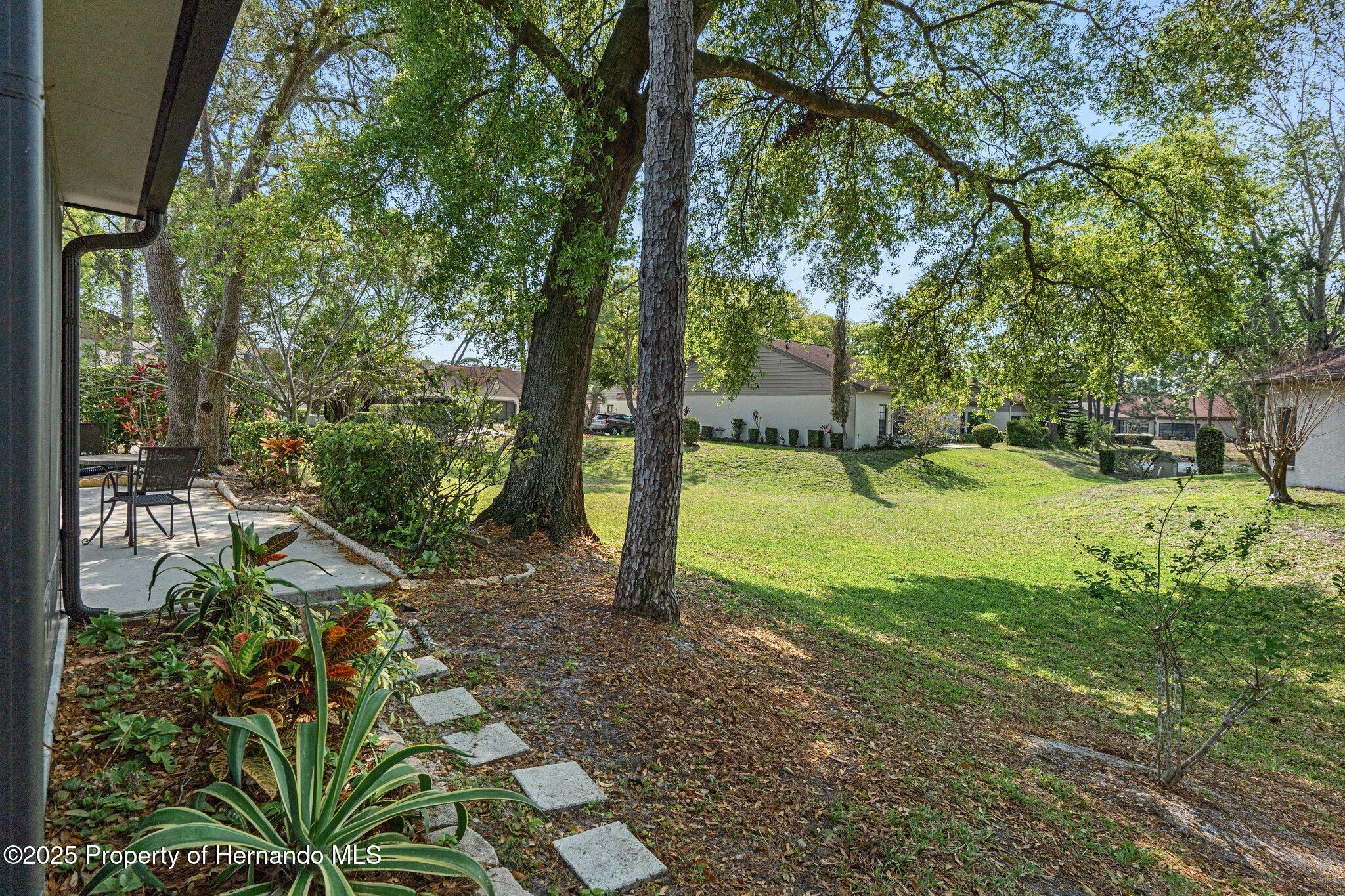 2217 Broadmoor Lane, Spring Hill, Florida image 43