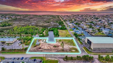 Vacant Land For Sale - 4055 Shoal Line Boulevard<br/> HERNANDO BEACH, FL 34607