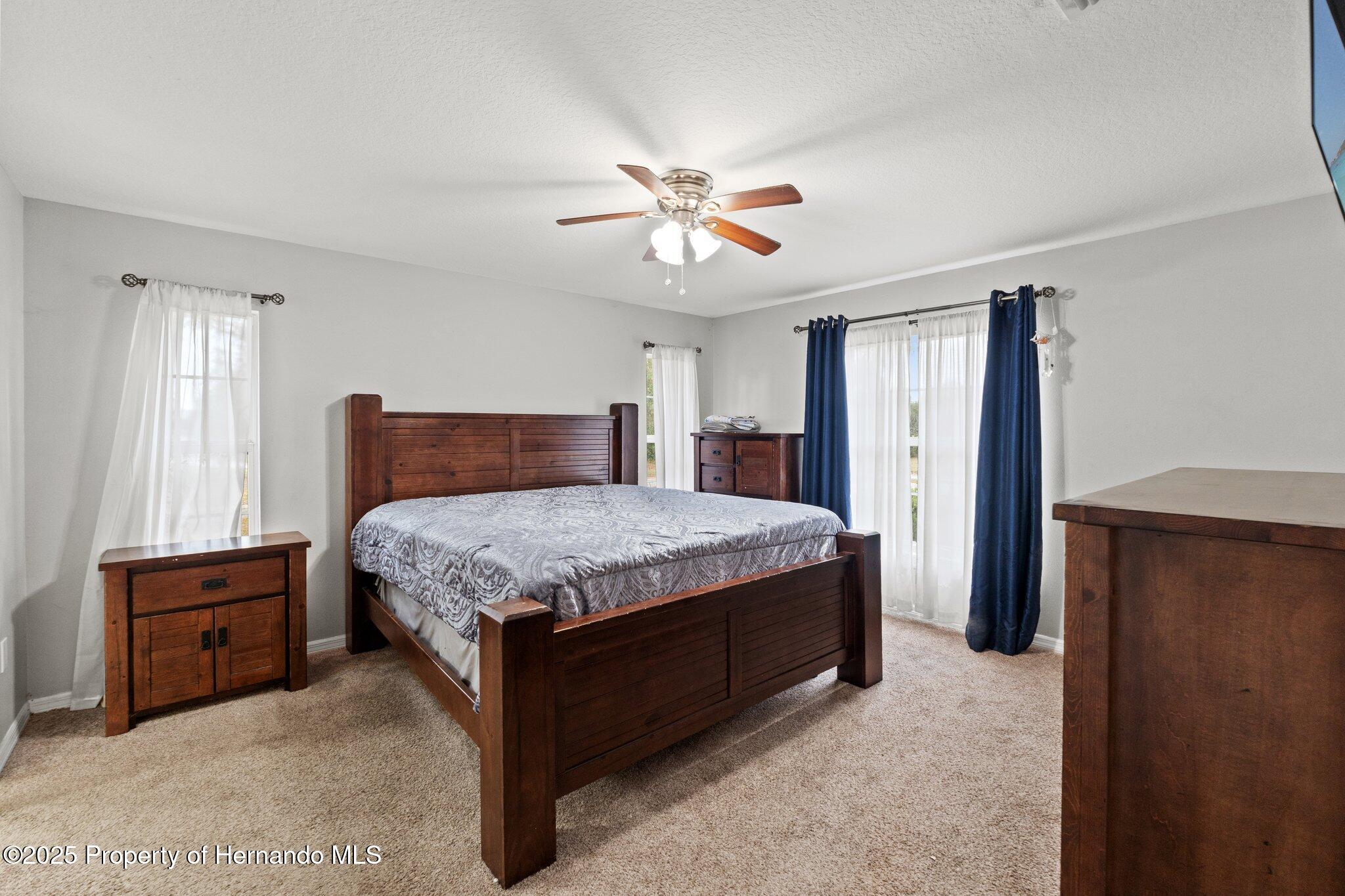 37351 Neighbors Path, Zephyrhills, Florida image 47
