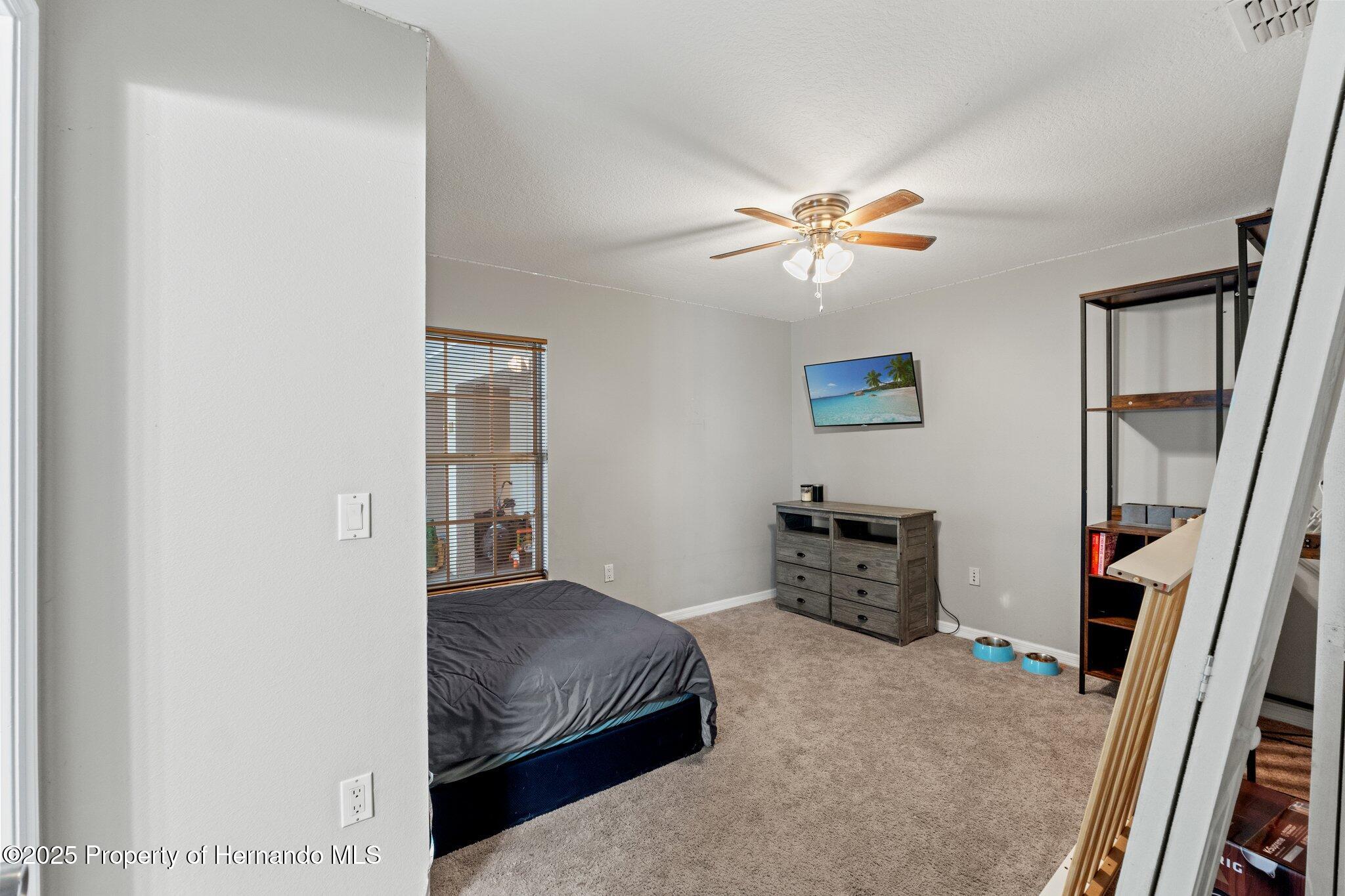 37351 Neighbors Path, Zephyrhills, Florida image 22