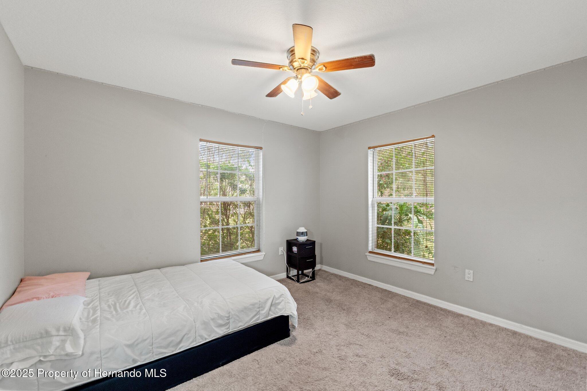 37351 Neighbors Path, Zephyrhills, Florida image 30
