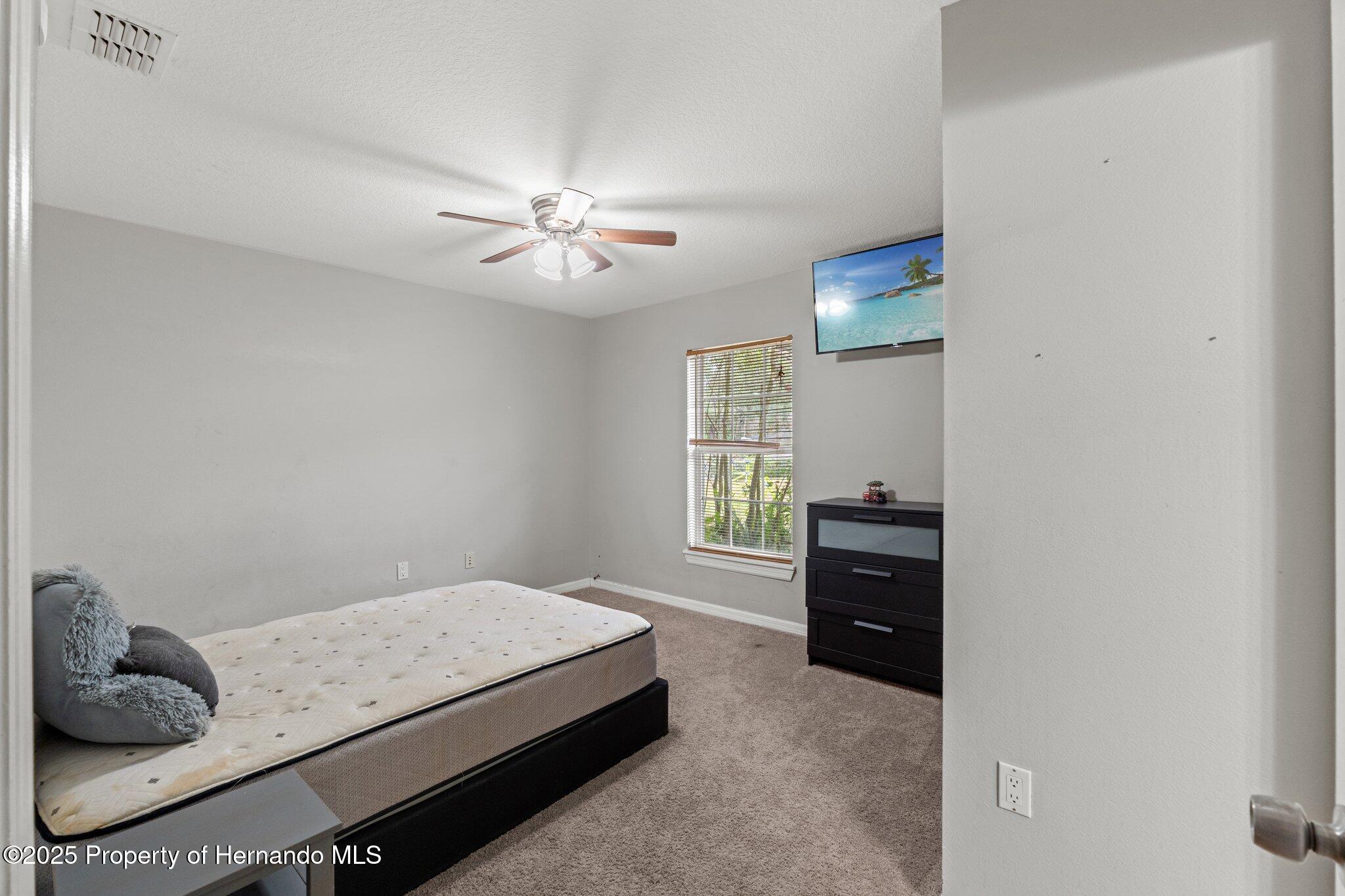 37351 Neighbors Path, Zephyrhills, Florida image 24