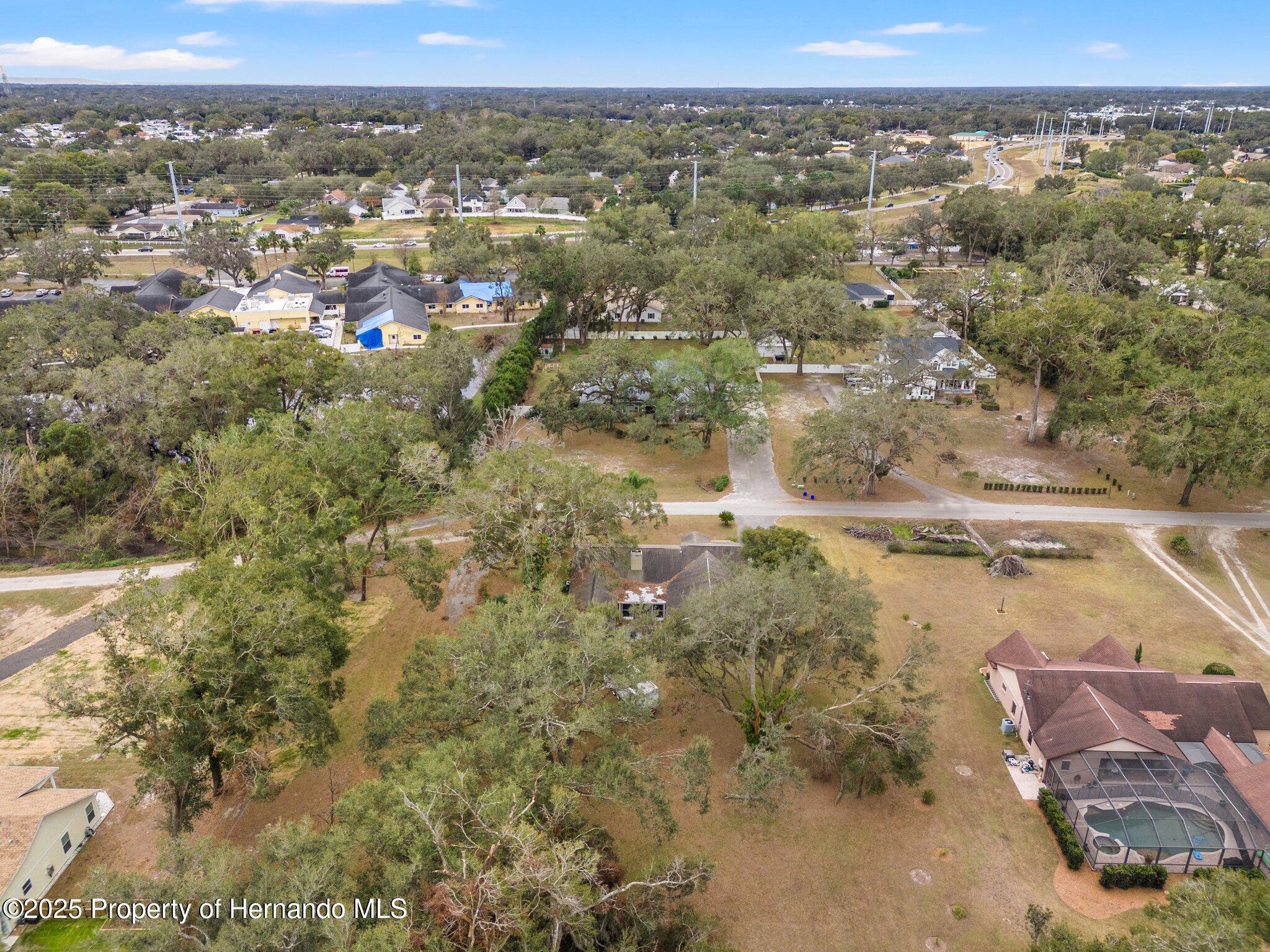 37351 Neighbors Path, Zephyrhills, Florida image 3