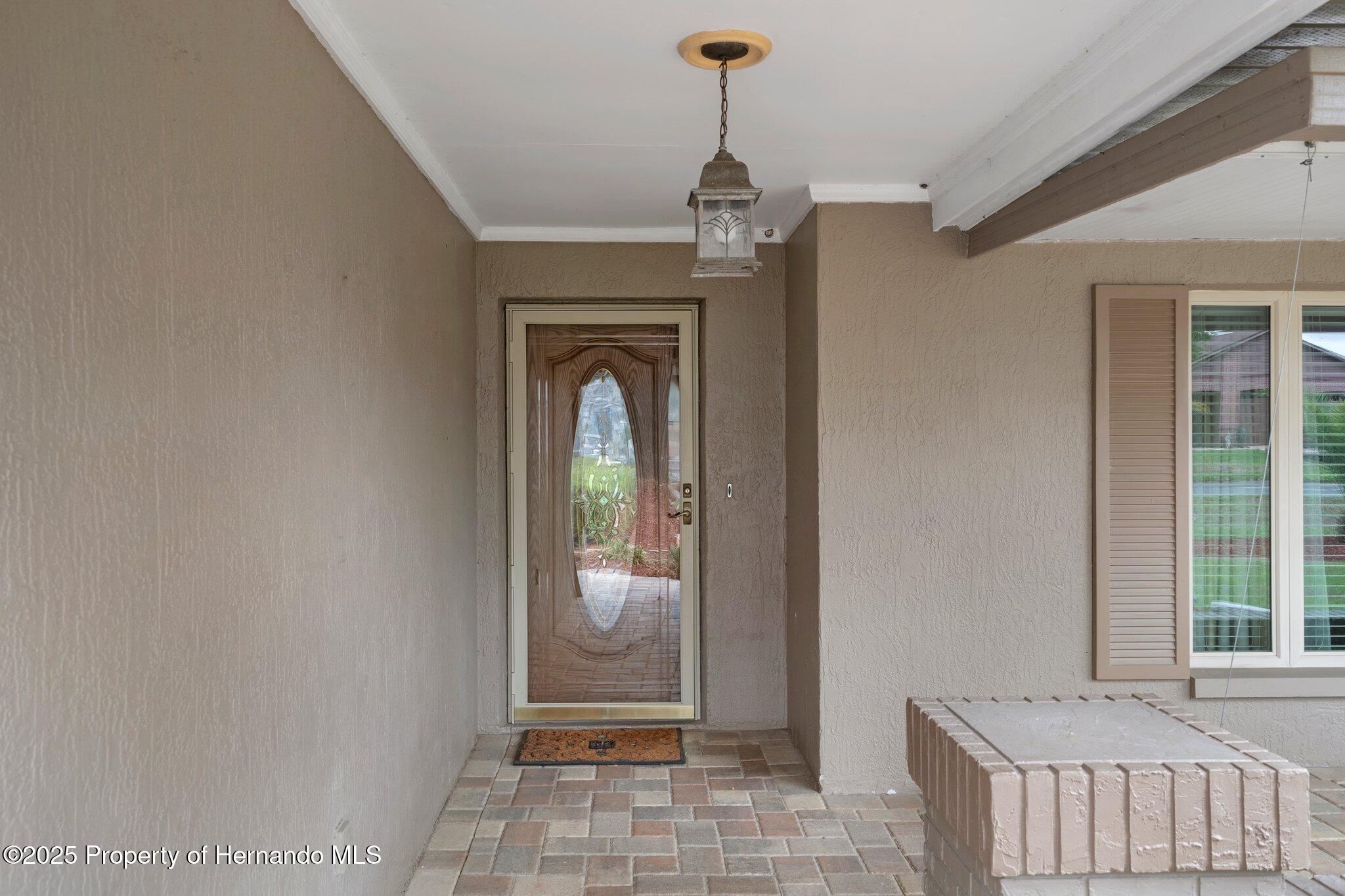 4000 Treetop Circle, Spring Hill, Florida image 5