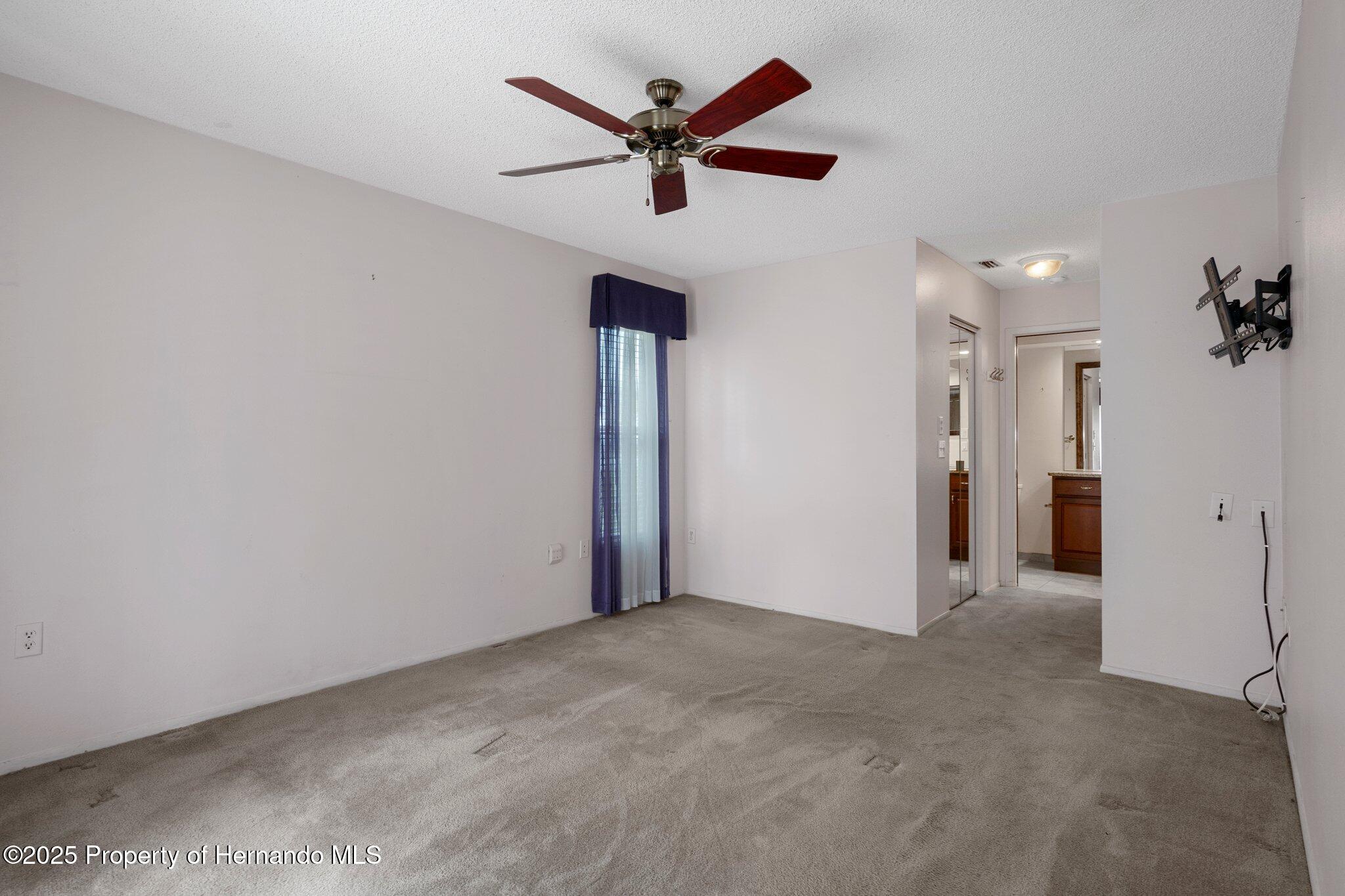 4000 Treetop Circle, Spring Hill, Florida image 24