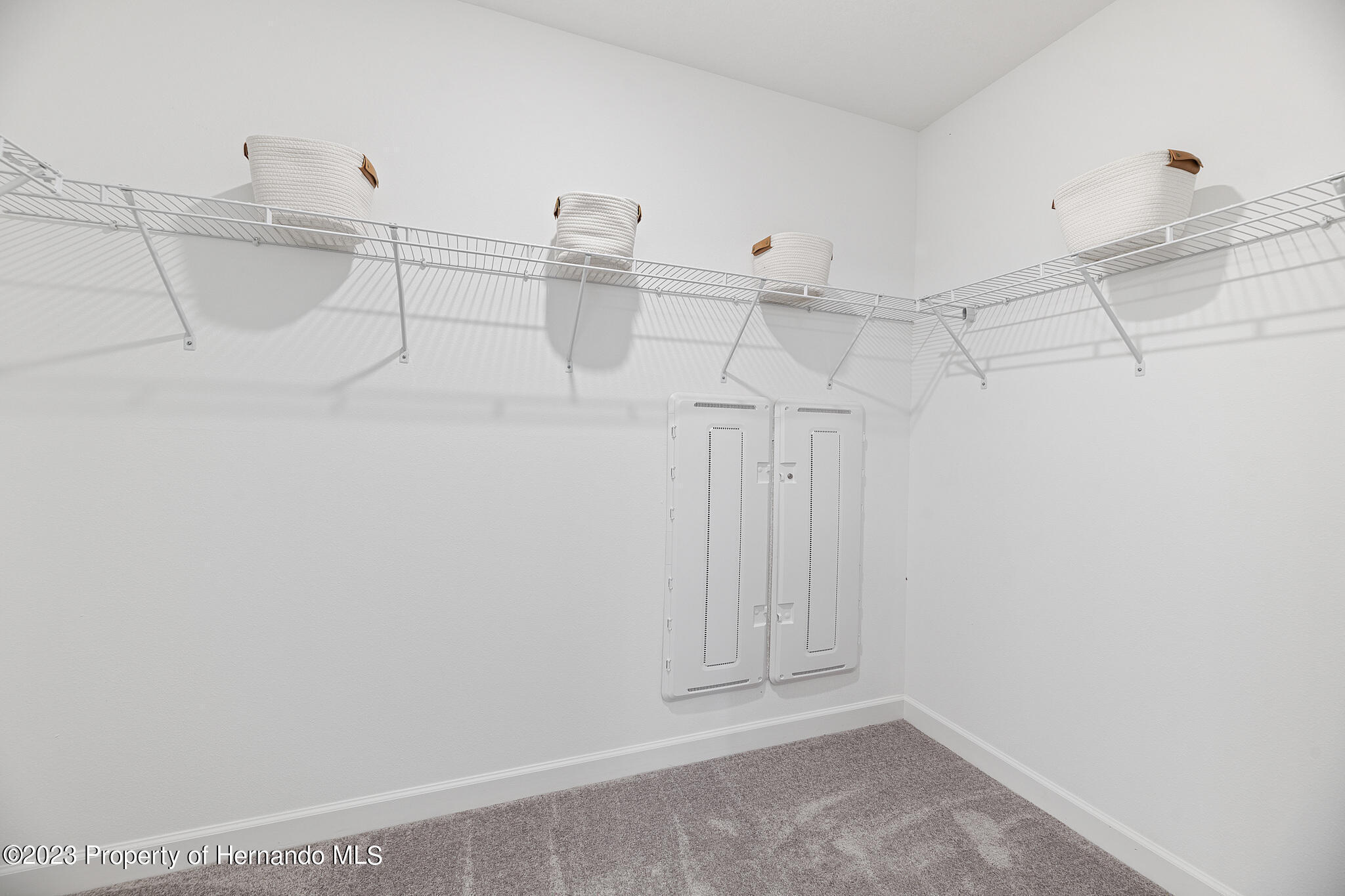 17261 Tortoise Crown Boulevard, LAND O LAKES, Florida image 7