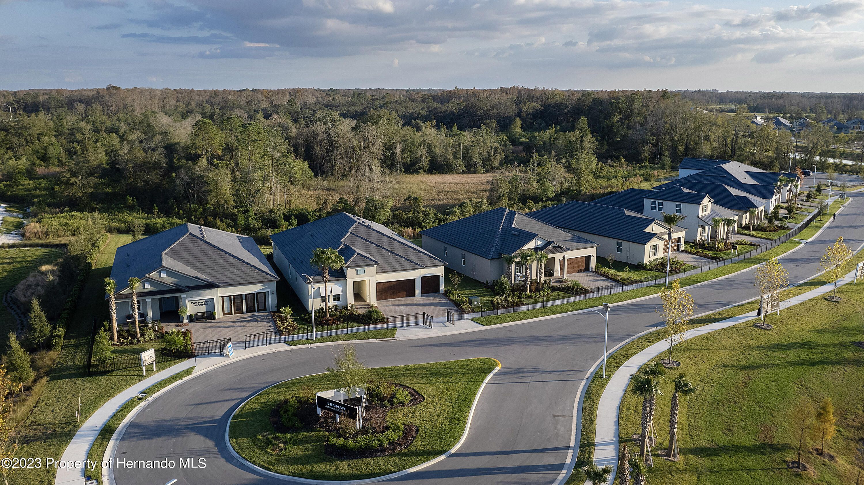 17261 Tortoise Crown Boulevard, LAND O LAKES, Florida image 14