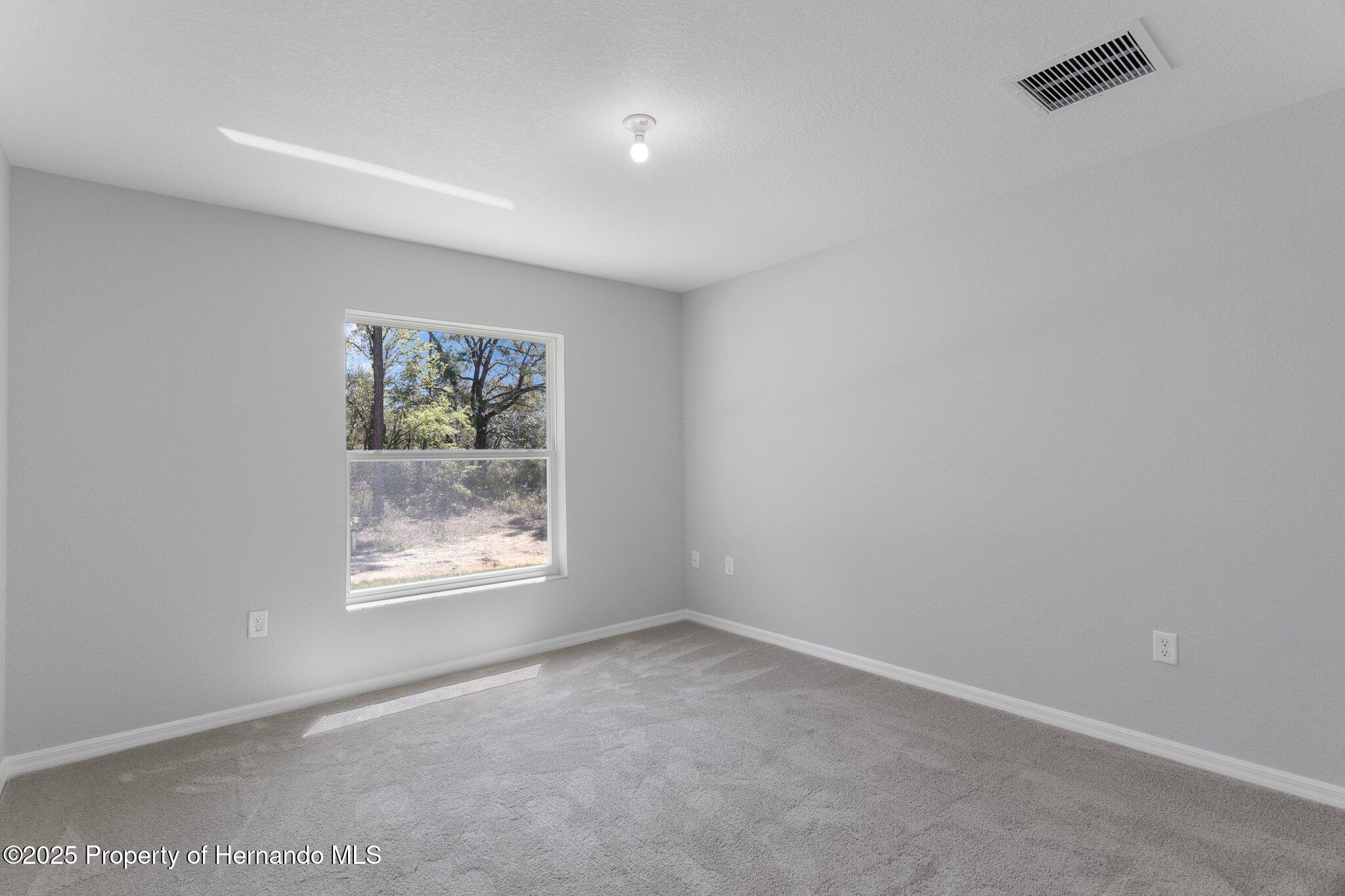 12192 Eskimo Curlew Road, Brooksville, Florida image 31