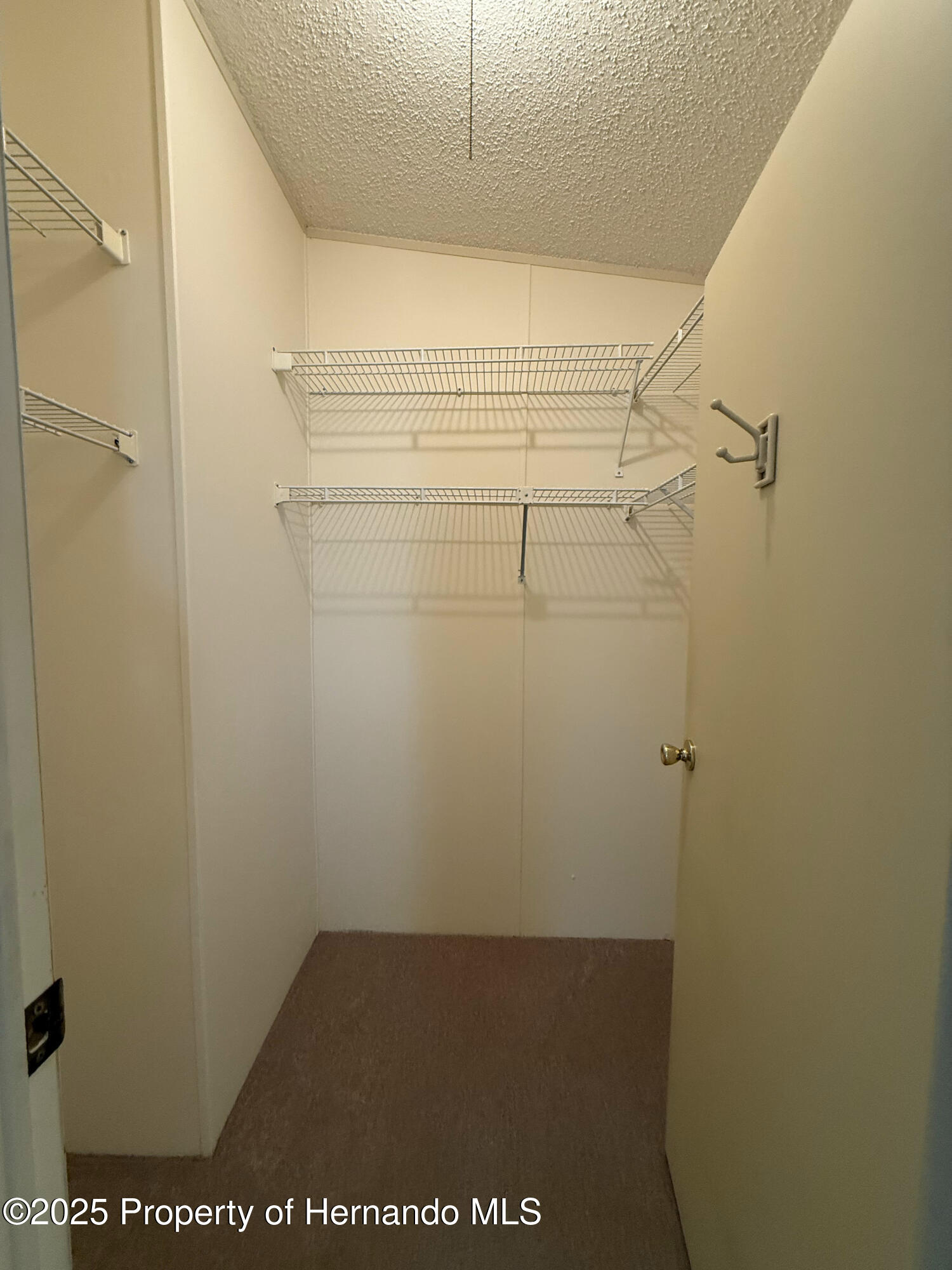 7358 First Loop Avenue, Brooksville, Florida image 30