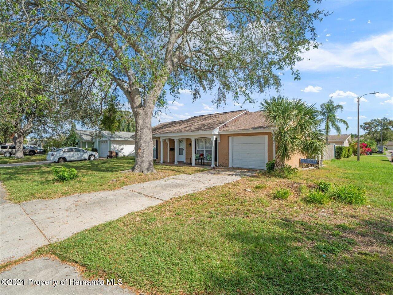 3902 Glissade Drive, New Port Richey, Florida image 6