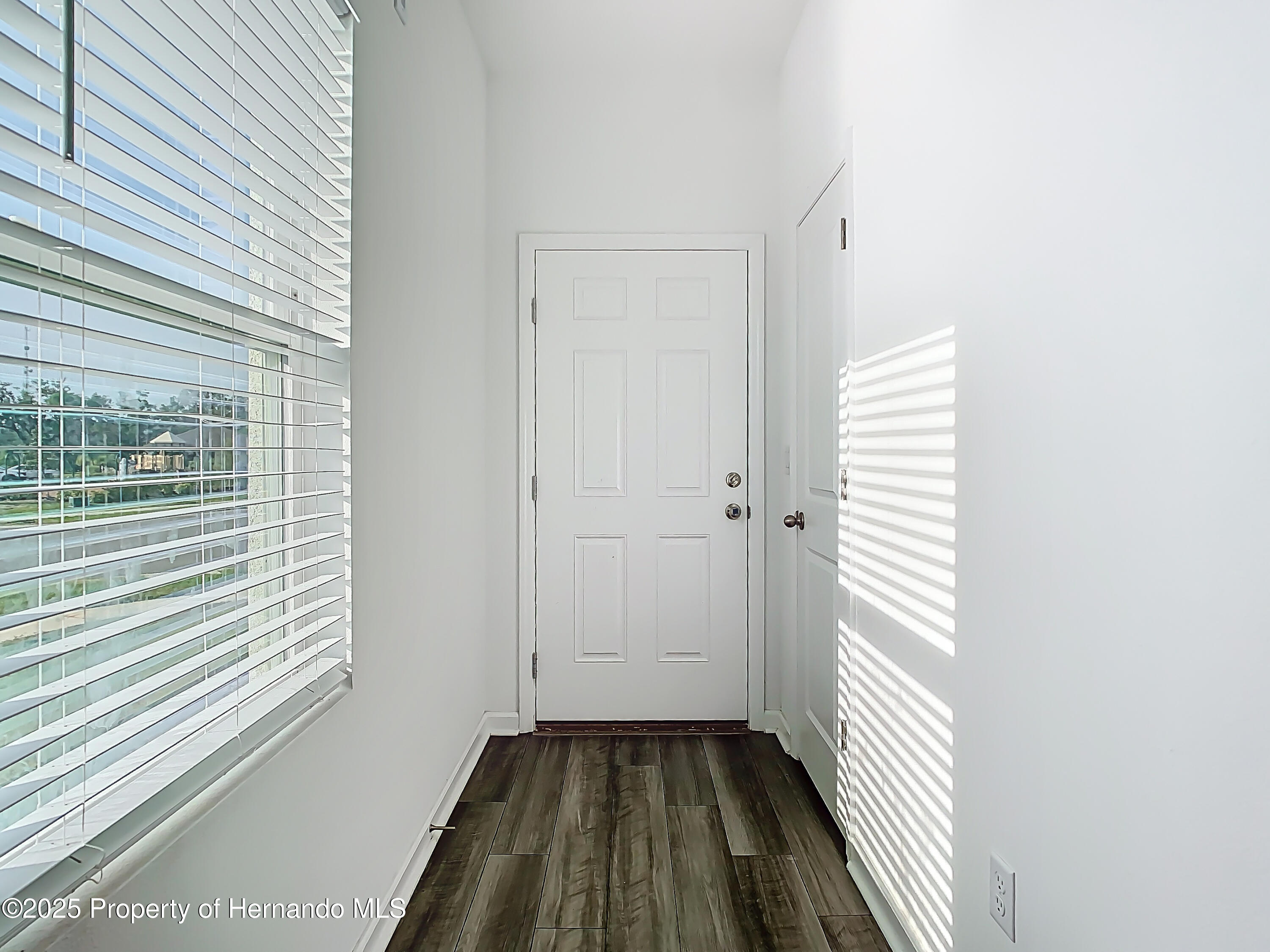 35413 Eastbrook Avenue, Zephyrhills, Florida image 9