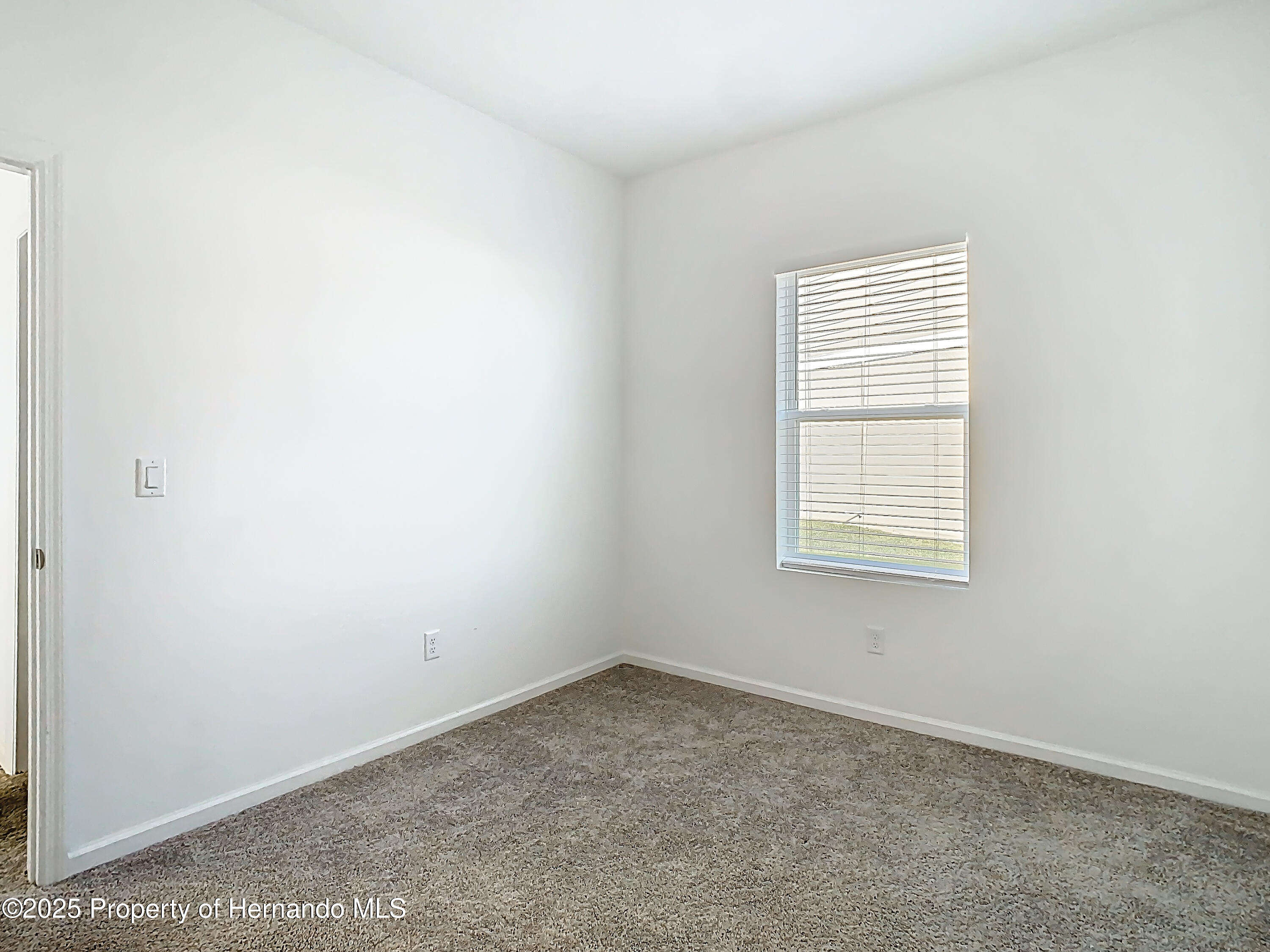 35413 Eastbrook Avenue, Zephyrhills, Florida image 34