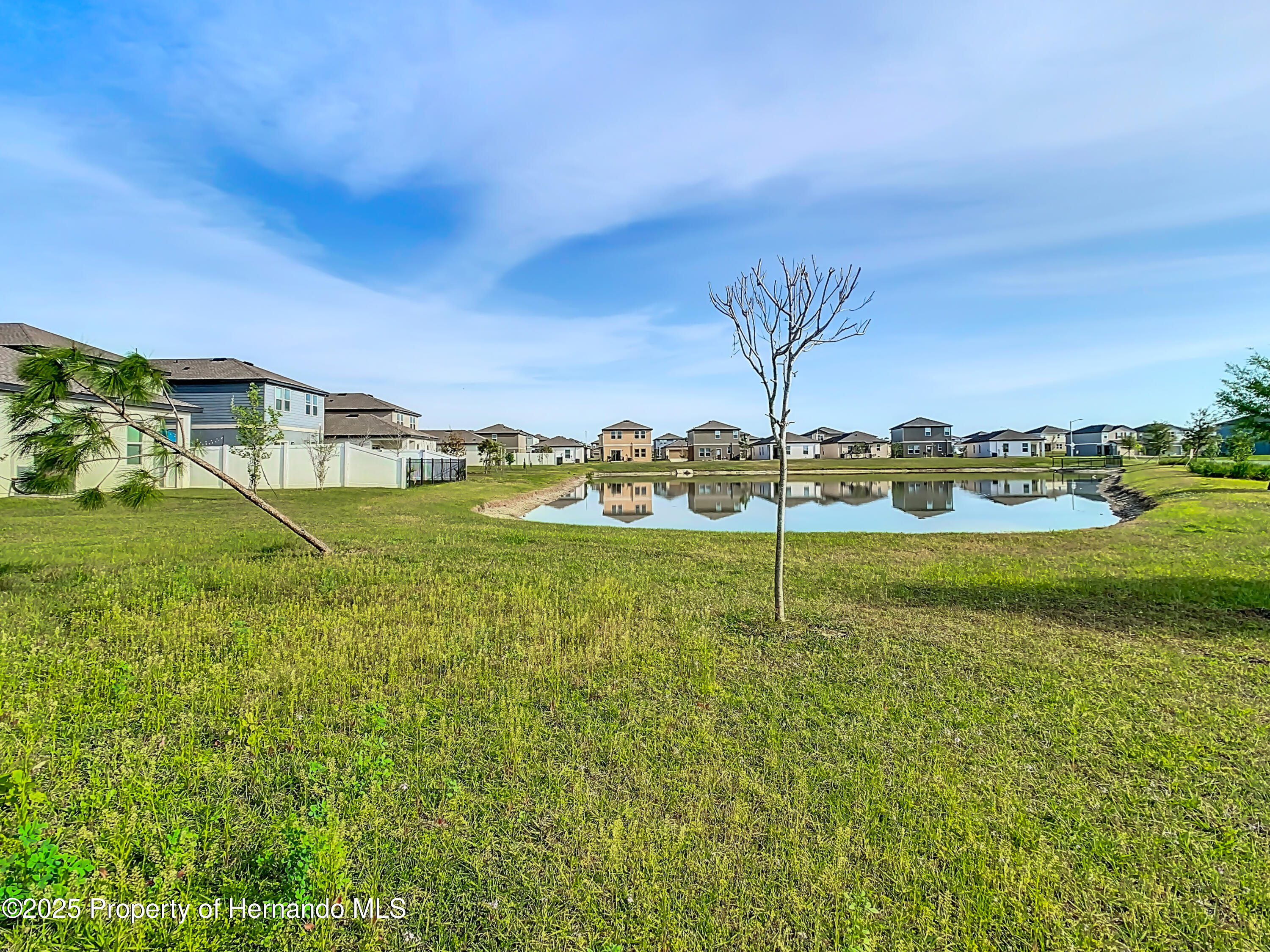 35413 Eastbrook Avenue, Zephyrhills, Florida image 41