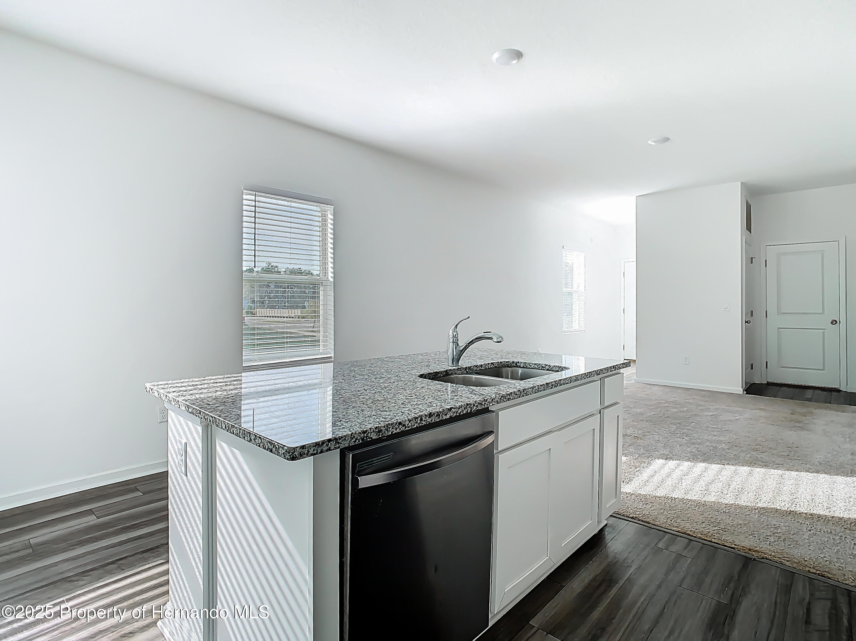 35413 Eastbrook Avenue, Zephyrhills, Florida image 20