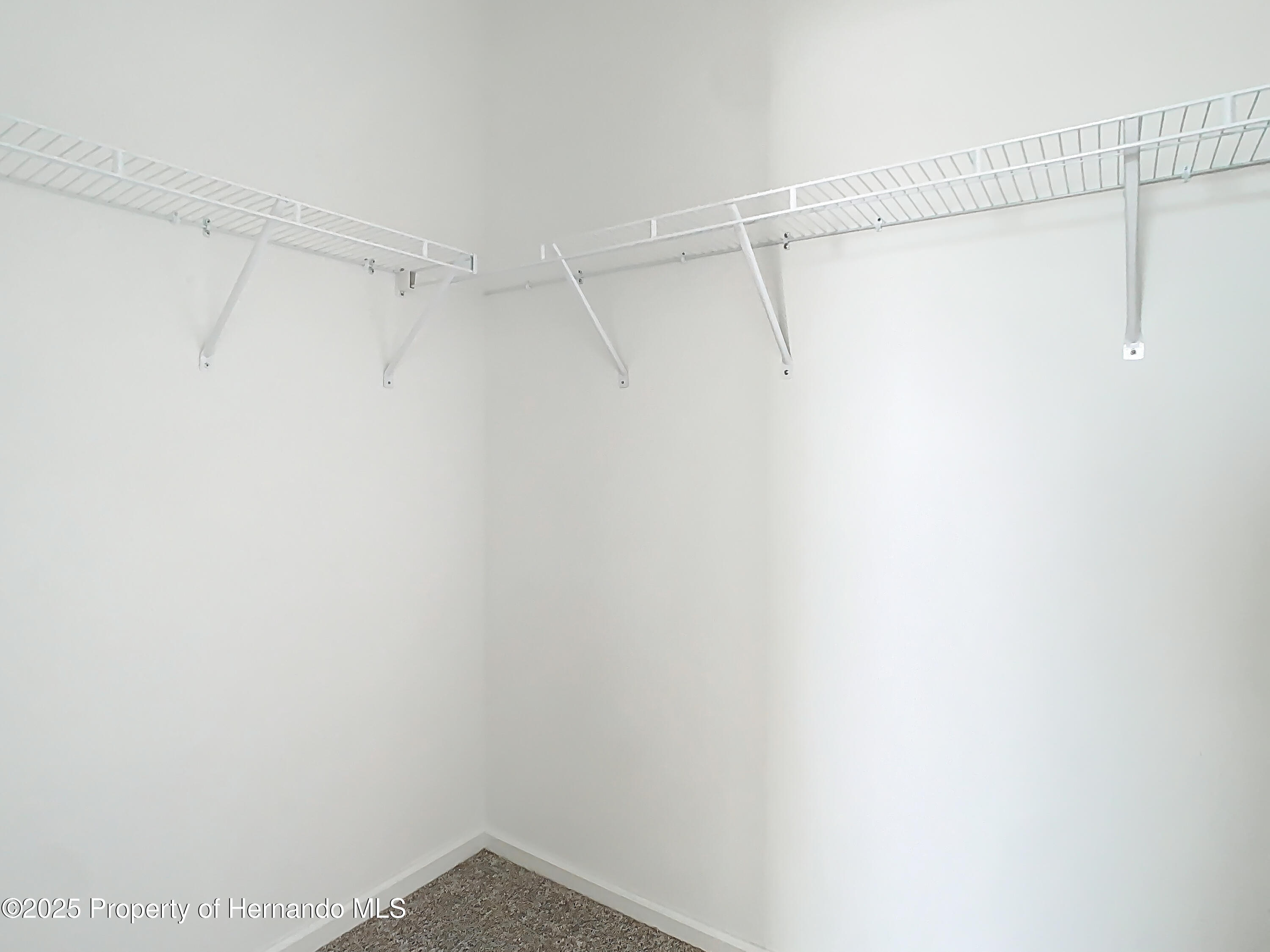 35413 Eastbrook Avenue, Zephyrhills, Florida image 28