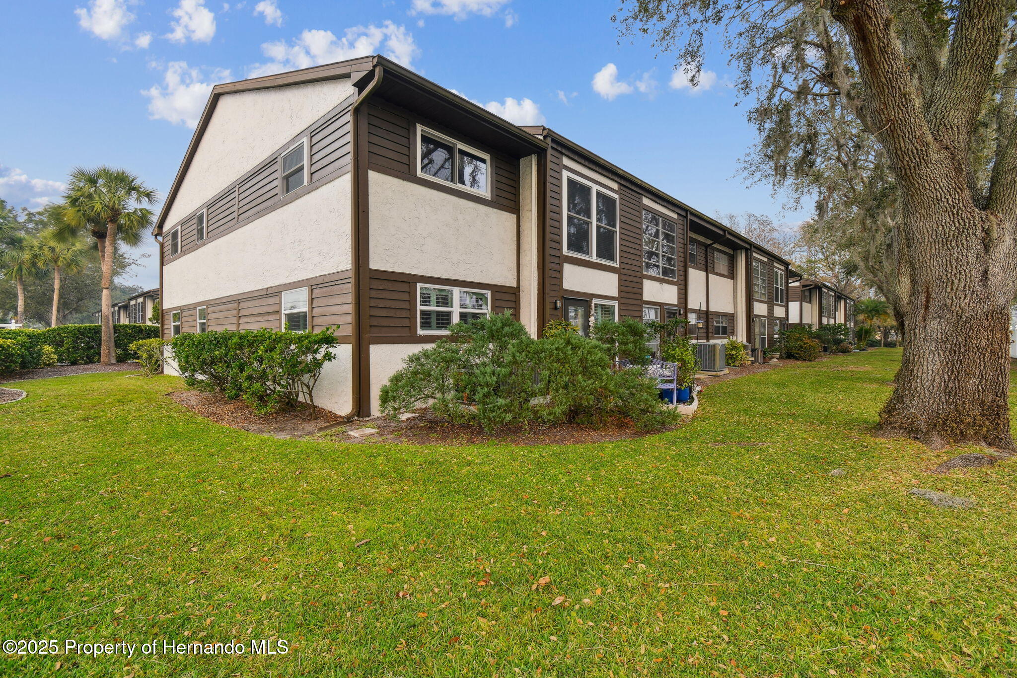 4008 Passport Lane, New Port Richey, Florida image 38