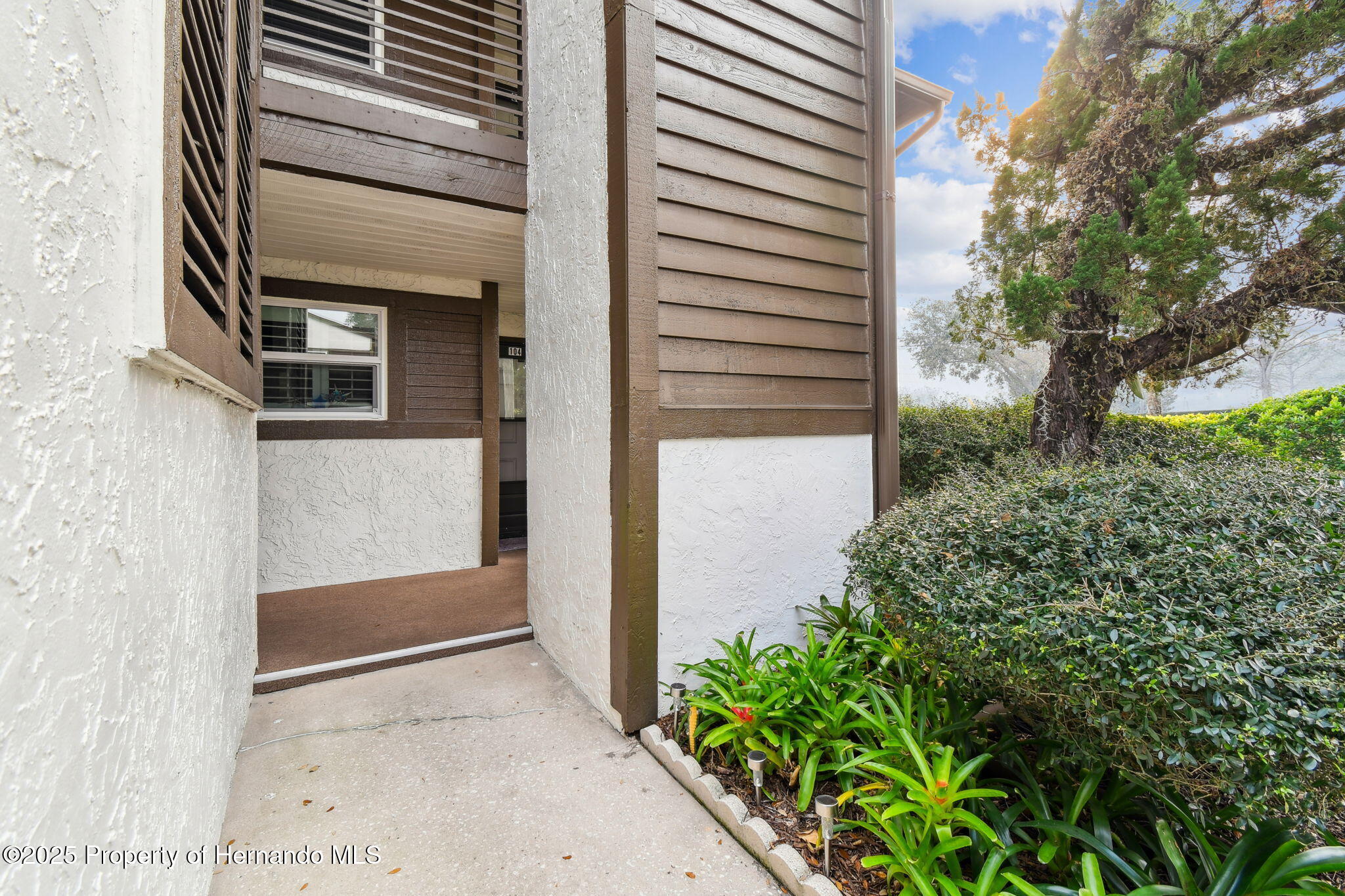 4008 Passport Lane, New Port Richey, Florida image 3