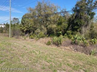 7088 Commercial Way, Weeki Wachee, Florida image 1