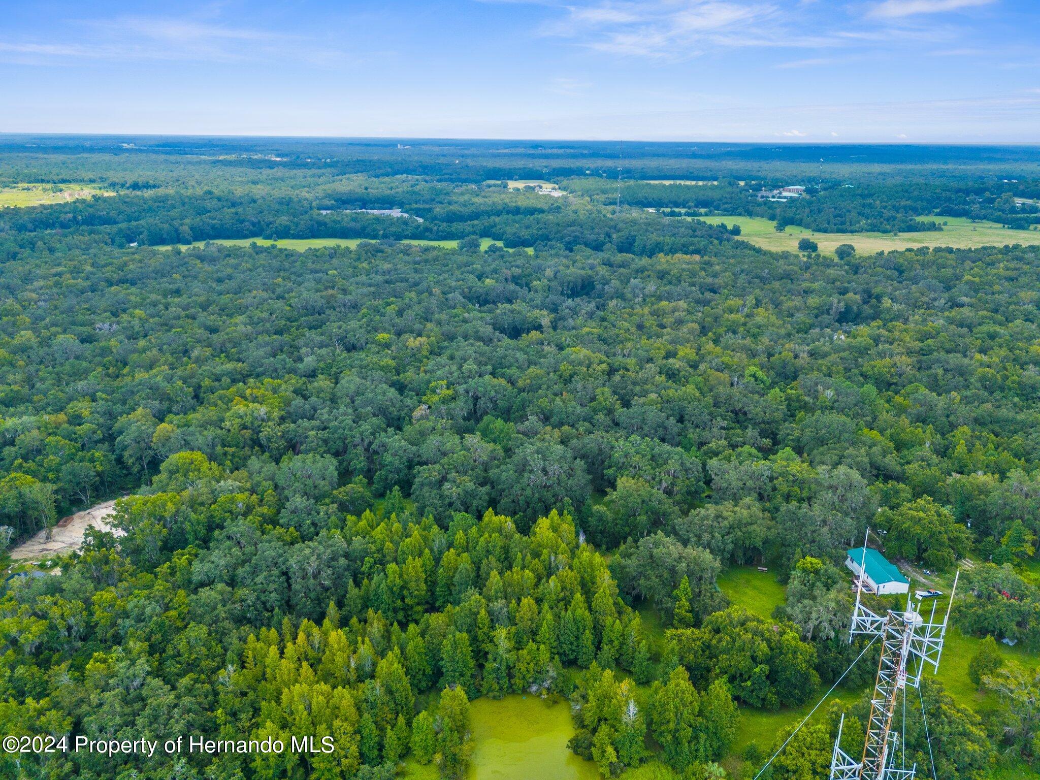 Rain Forest Road, Brooksville, Florida image 8