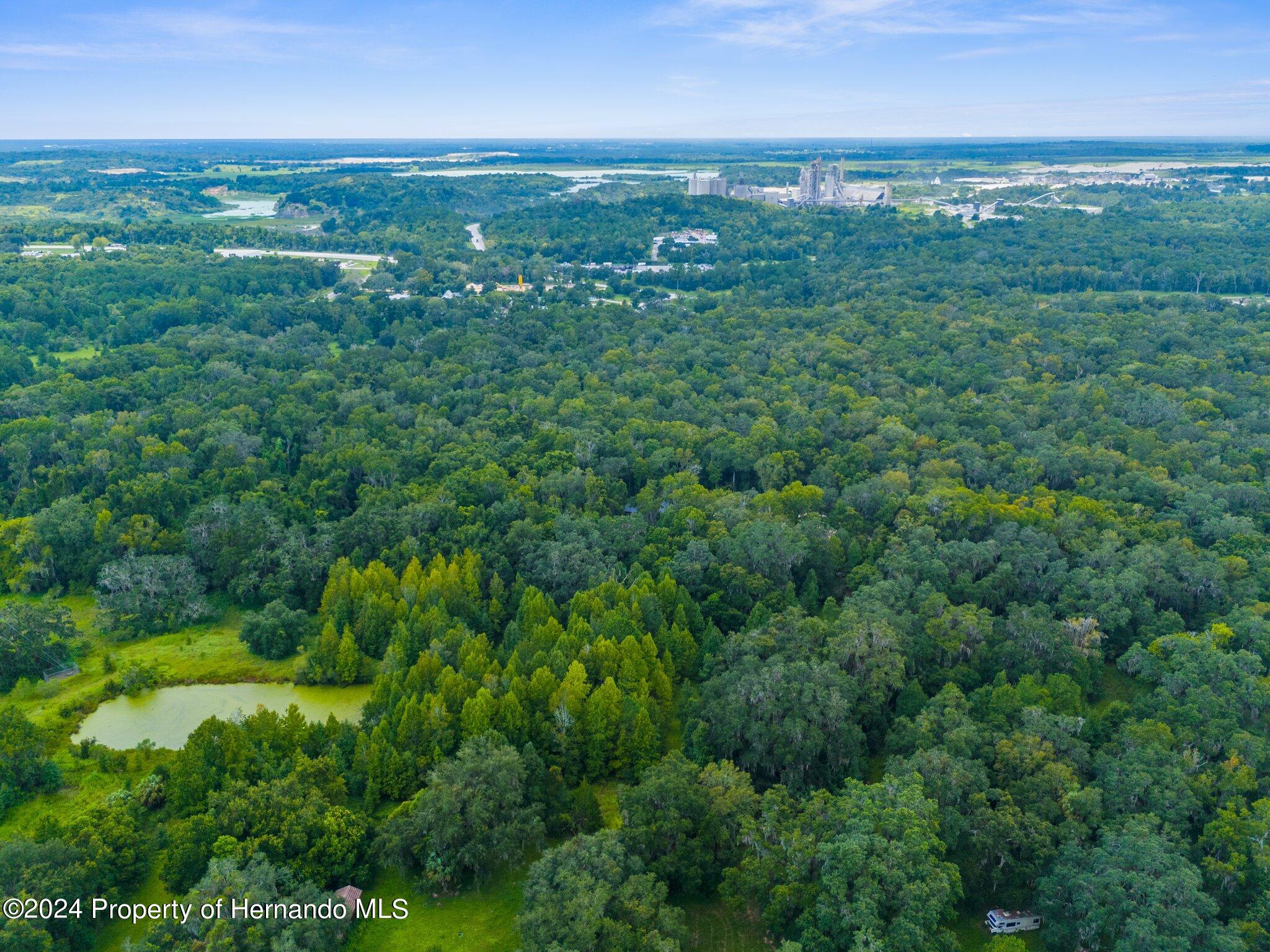 Rain Forest Road, Brooksville, Florida image 6