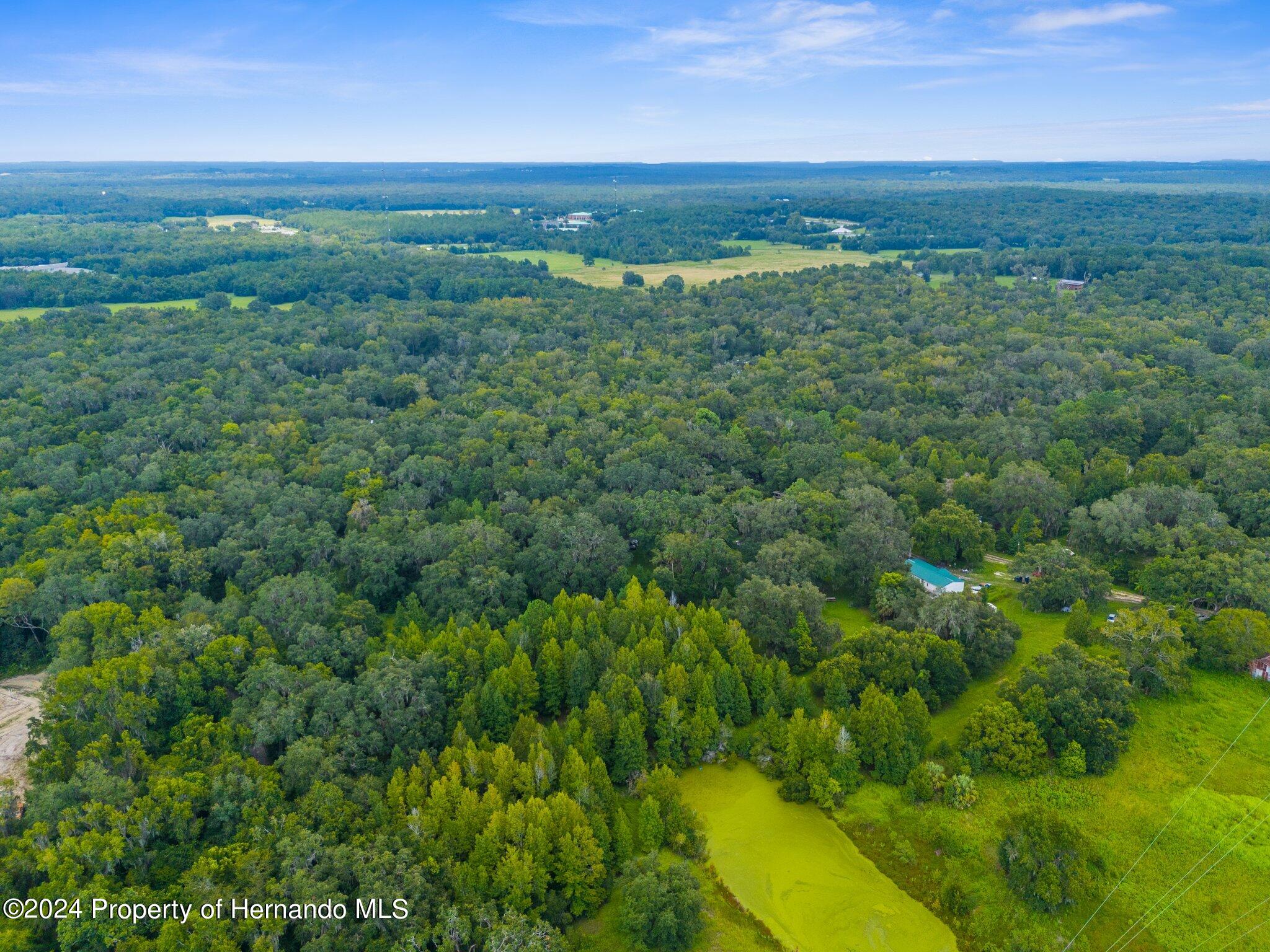 Rain Forest Road, Brooksville, Florida image 9