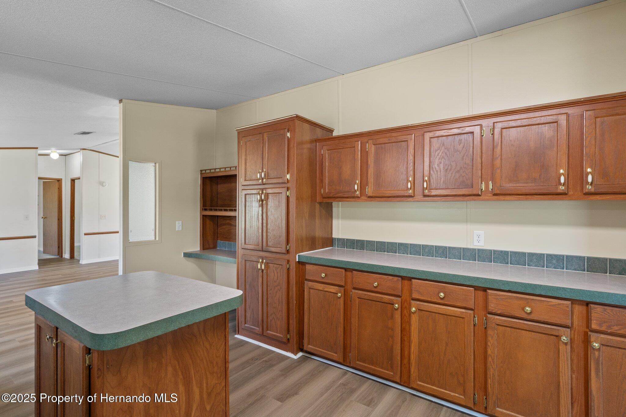 19058 Wiscon Road, Brooksville, Florida image 33