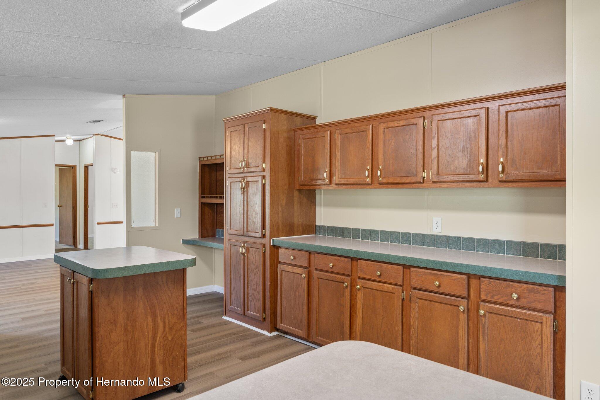 19058 Wiscon Road, Brooksville, Florida image 34