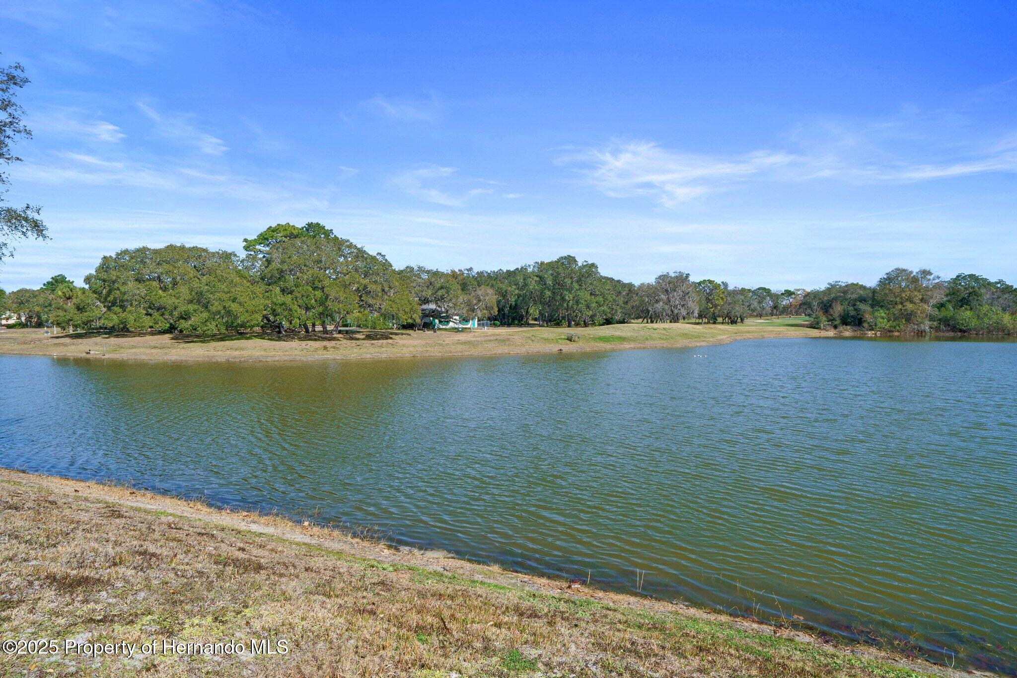 8194 Sturbridge Ct, Weeki Wachee, Florida image 31