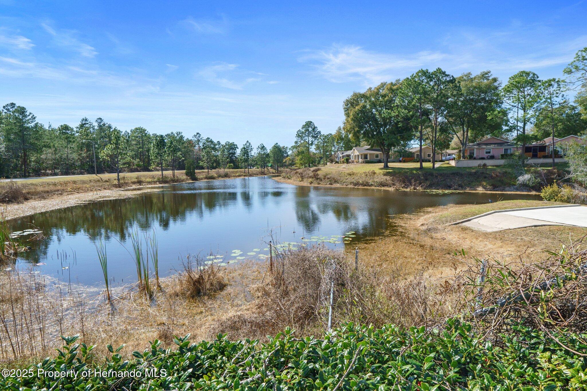 8194 Sturbridge Ct, Weeki Wachee, Florida image 30