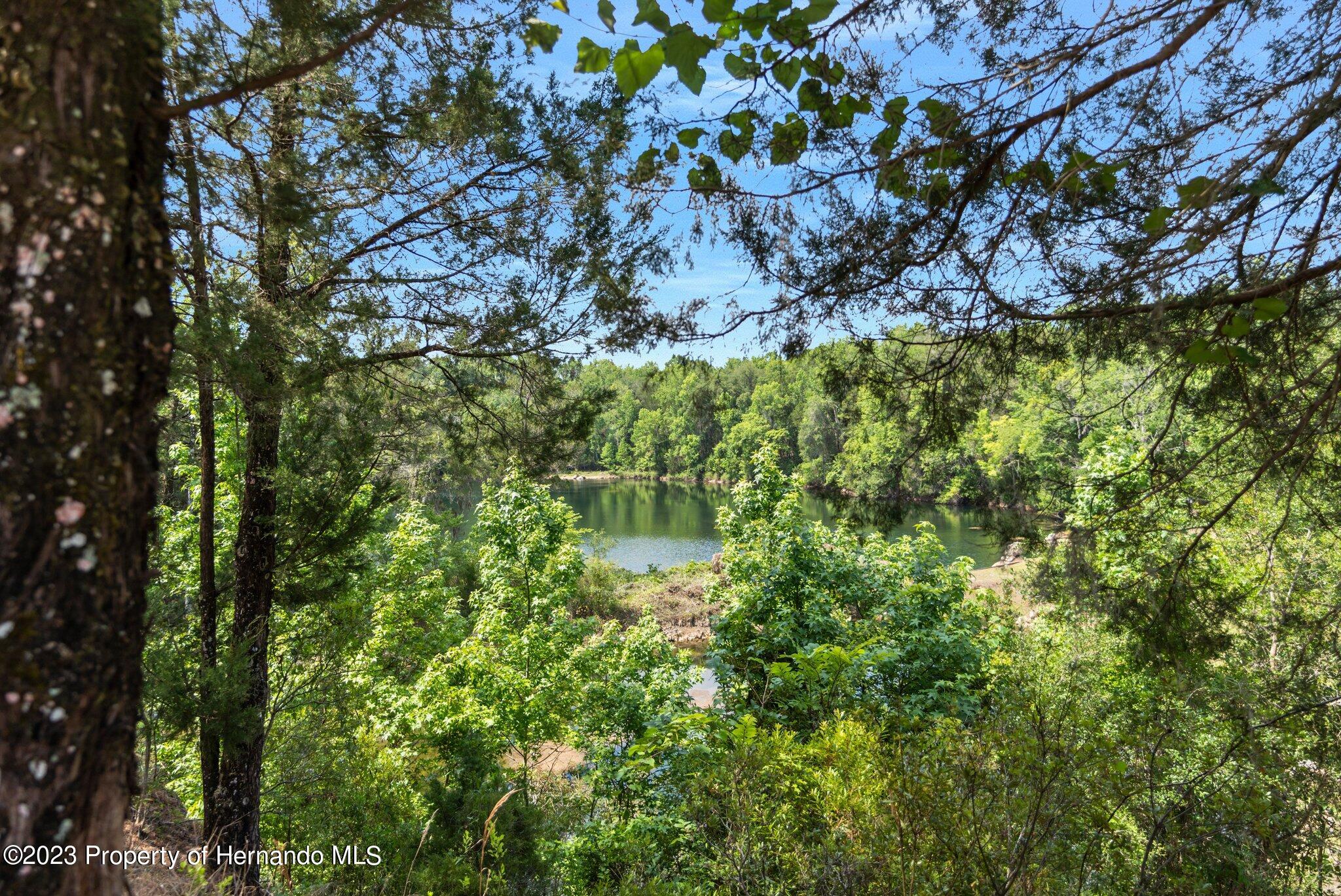 9986 New Hope Court, Floral City, Florida image 48
