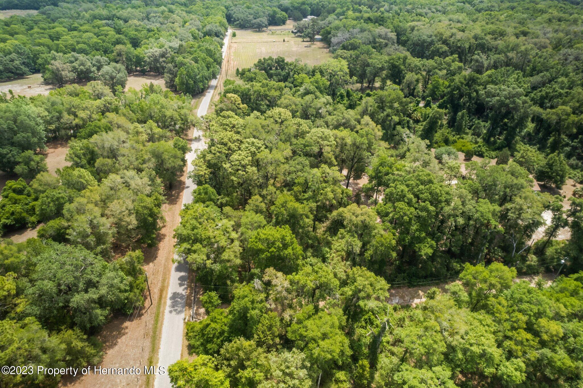 9986 New Hope Court, Floral City, Florida image 24