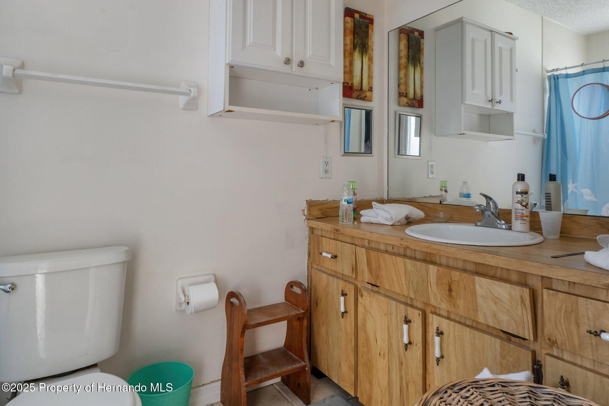 5319 Ray Drive, Weeki Wachee, Florida image 39