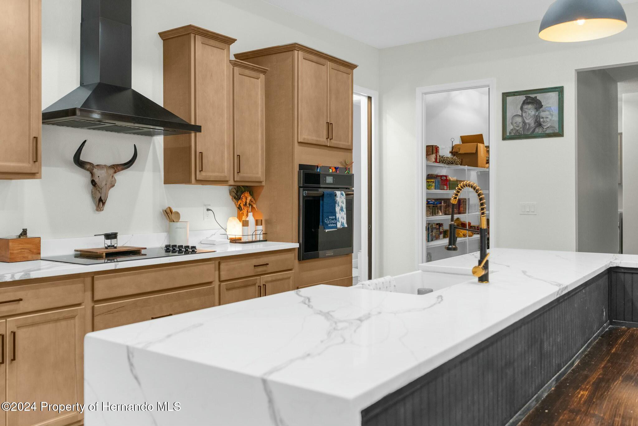 7376 Fall Street, Brooksville, Florida image 2